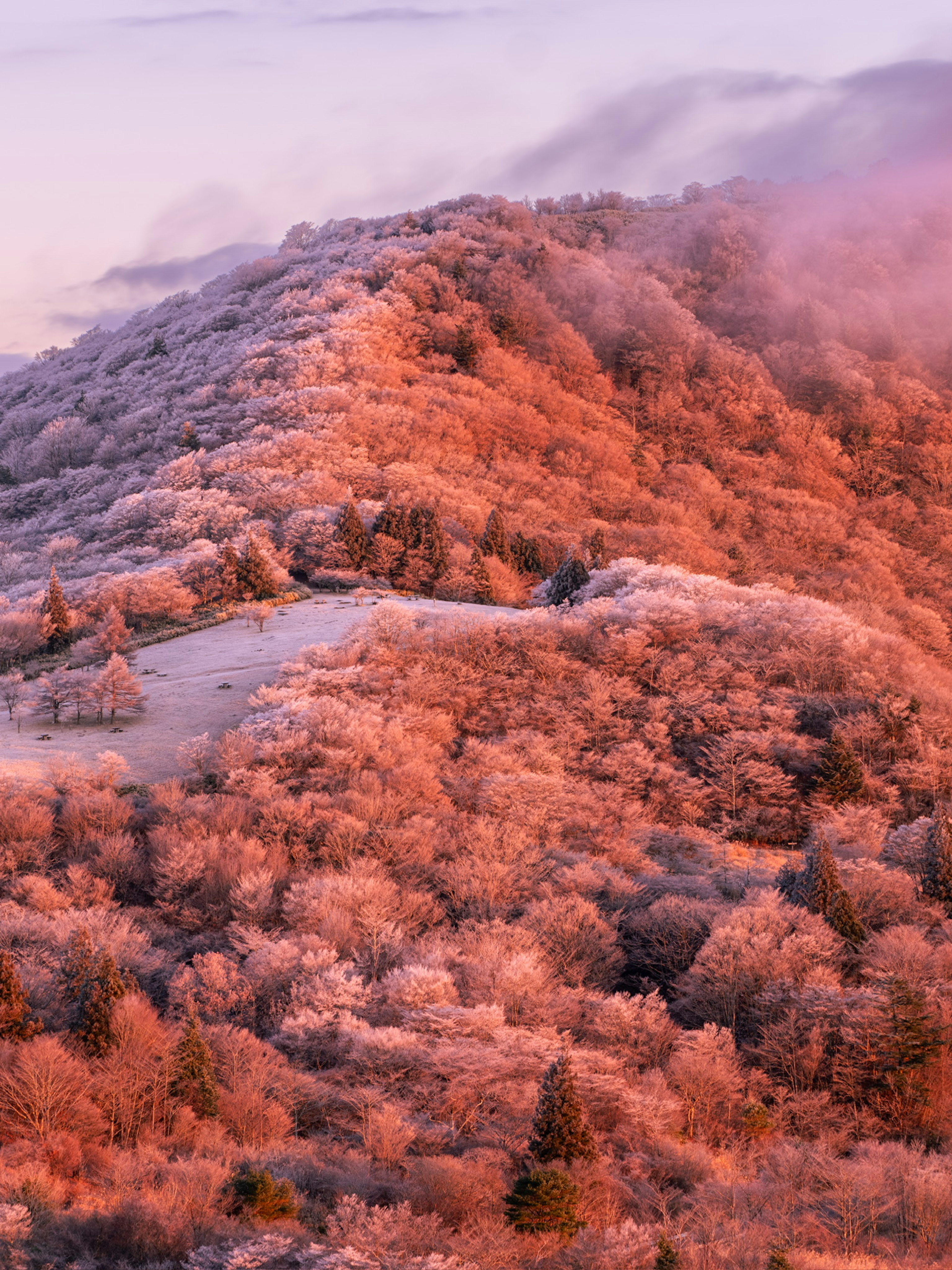 Hermoso amanecer sobre un paisaje montañoso cubierto de escarcha