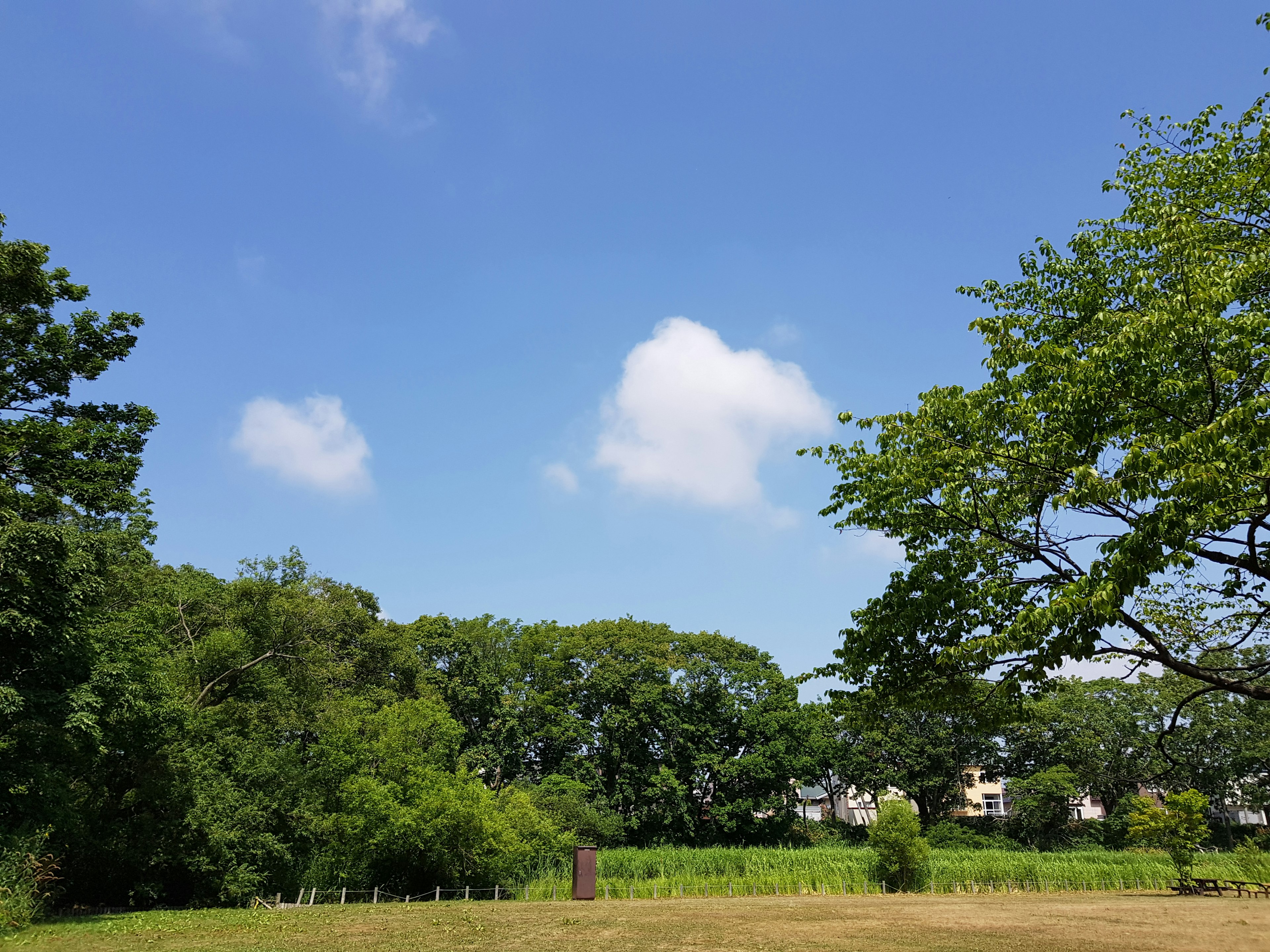 Un paesaggio con alberi verdi sotto un cielo blu con nuvole bianche