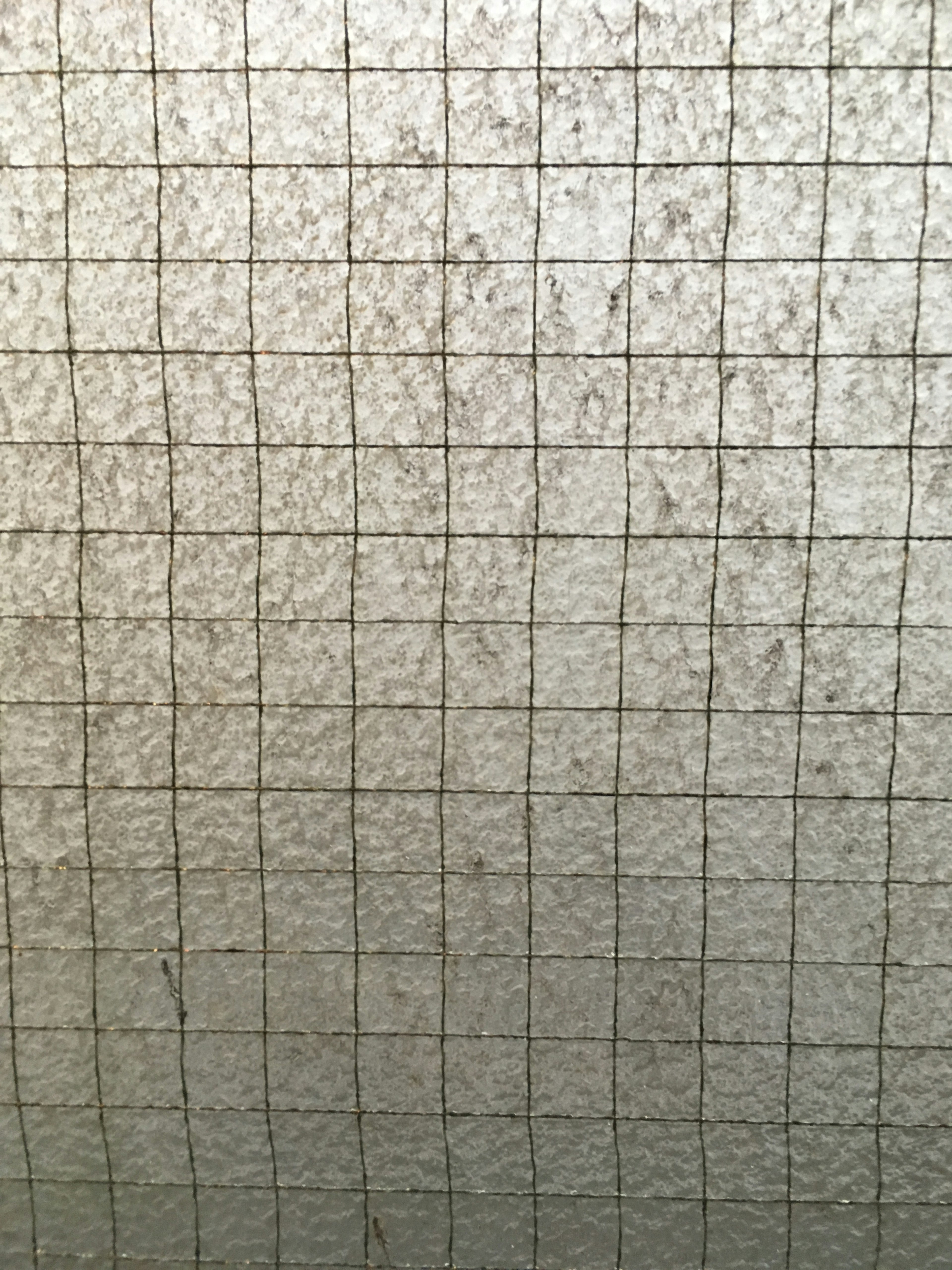 Textured transparent surface with a grid pattern