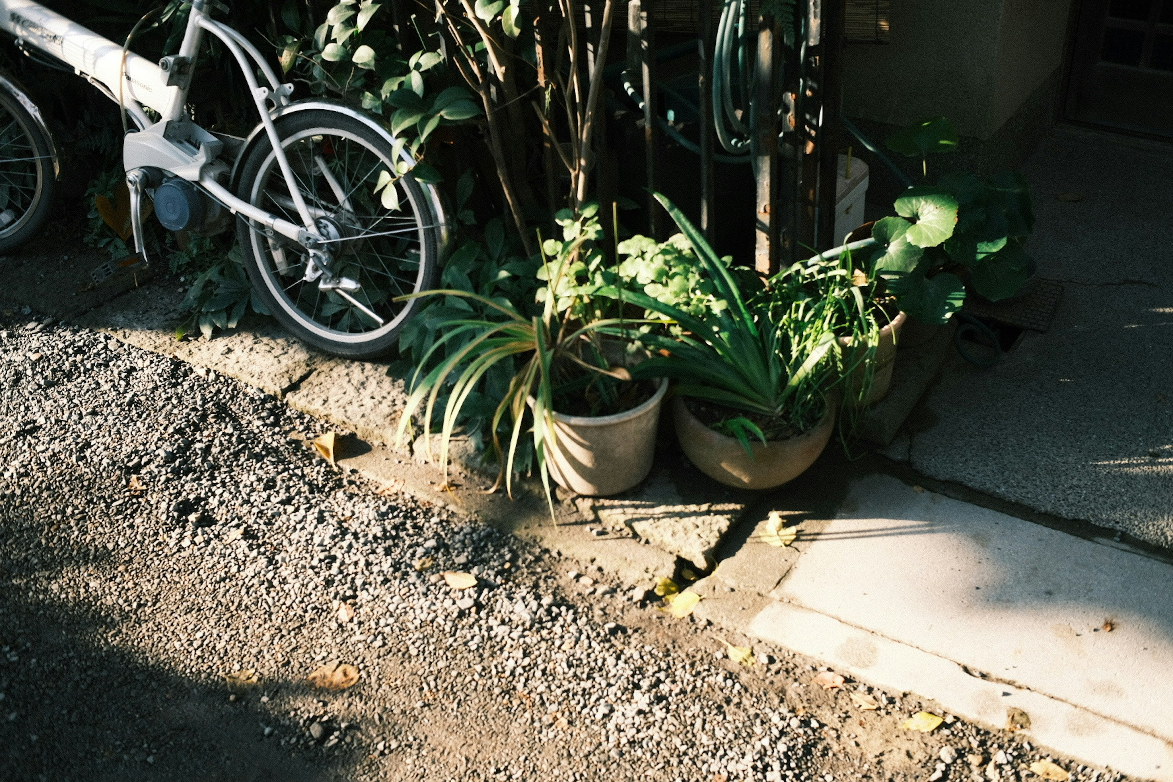 白い自転車と植物が置かれた歩道の風景