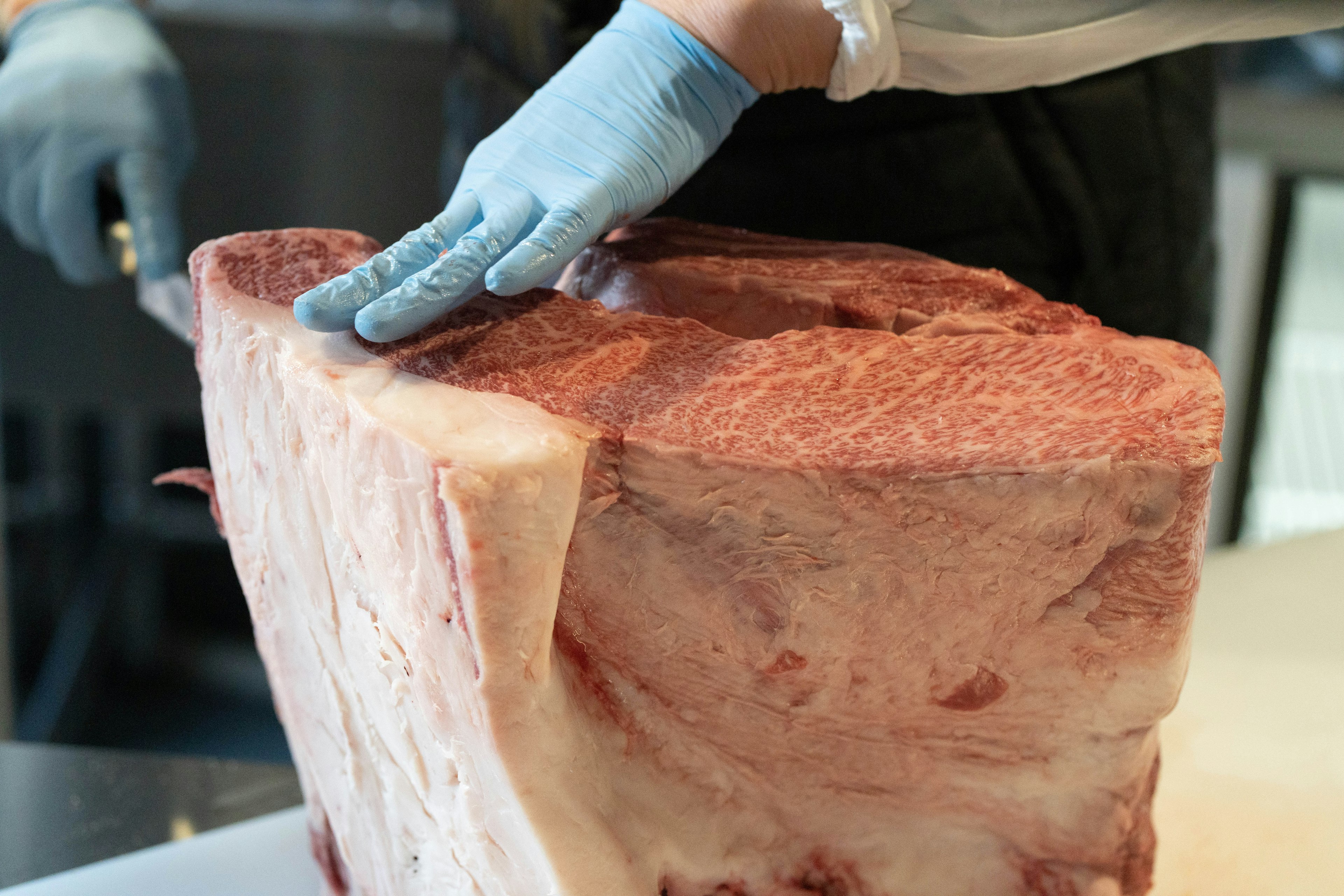 Close-up of a hand in a blue glove handling a large piece of meat