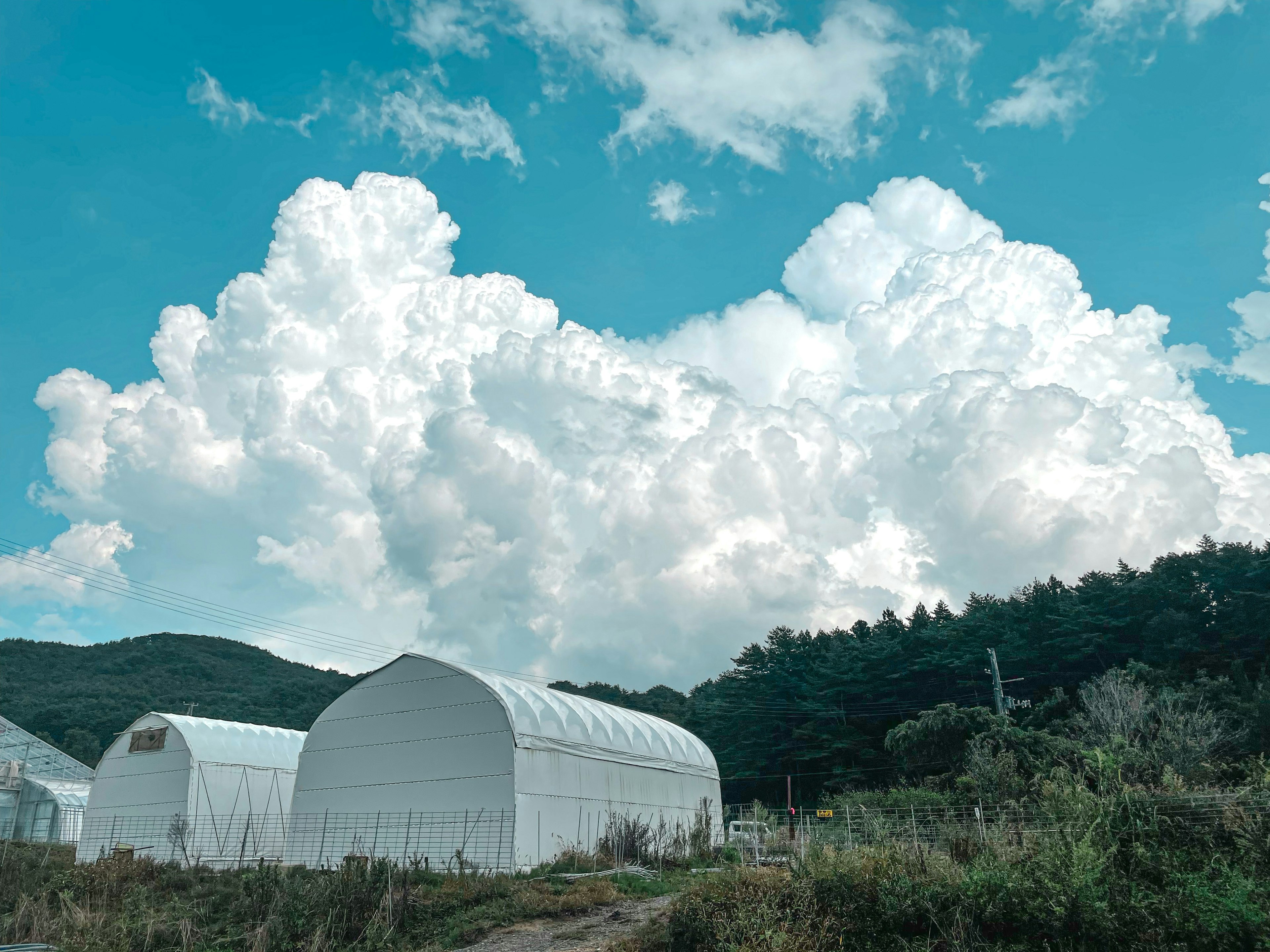 青空の下に白い温室と大きな雲が広がる風景