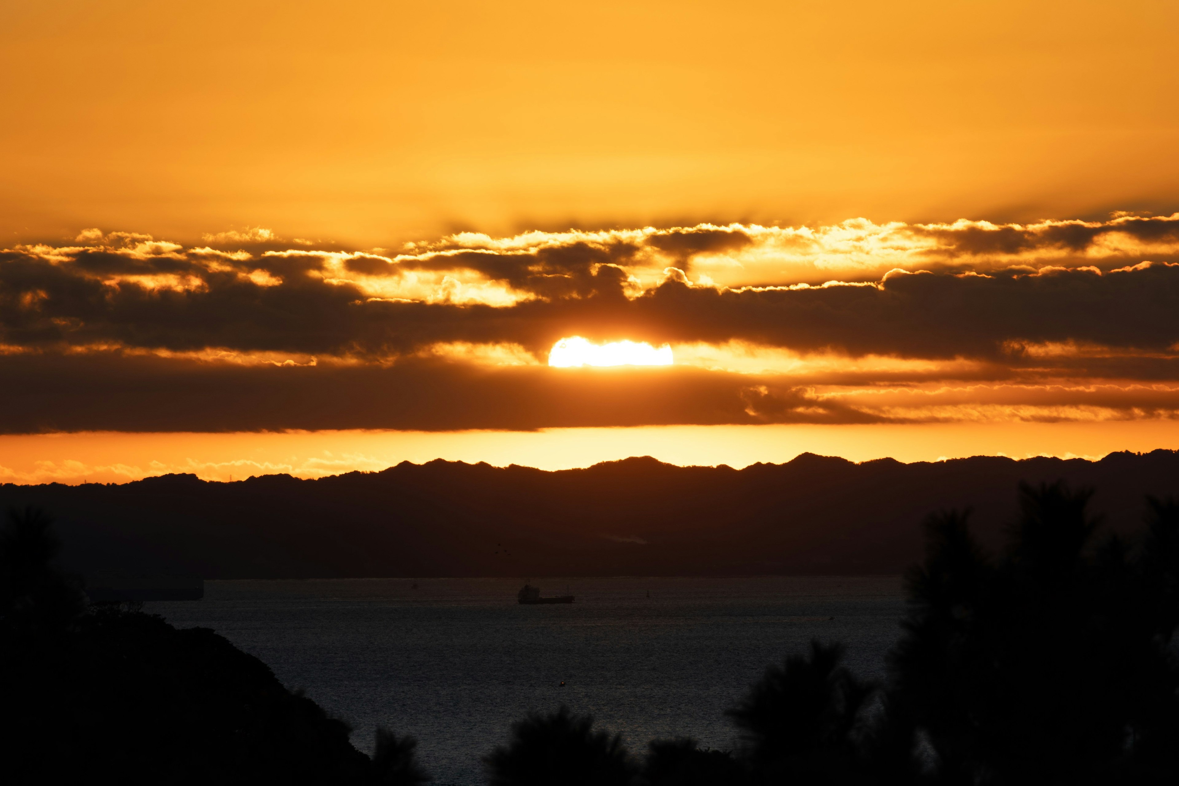 美しい夕日が山々の間から昇るシーン 海とシルエットの木々が見える