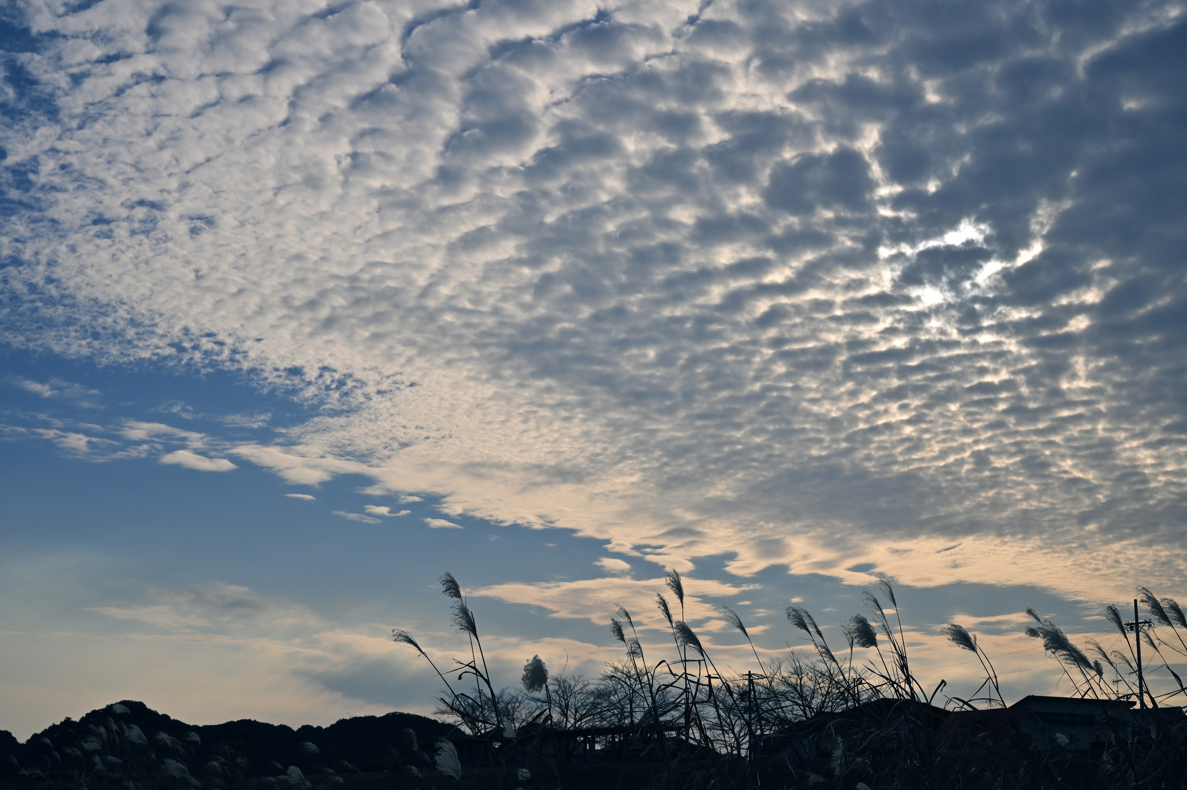 Blue sky with textured clouds and silhouette of grass