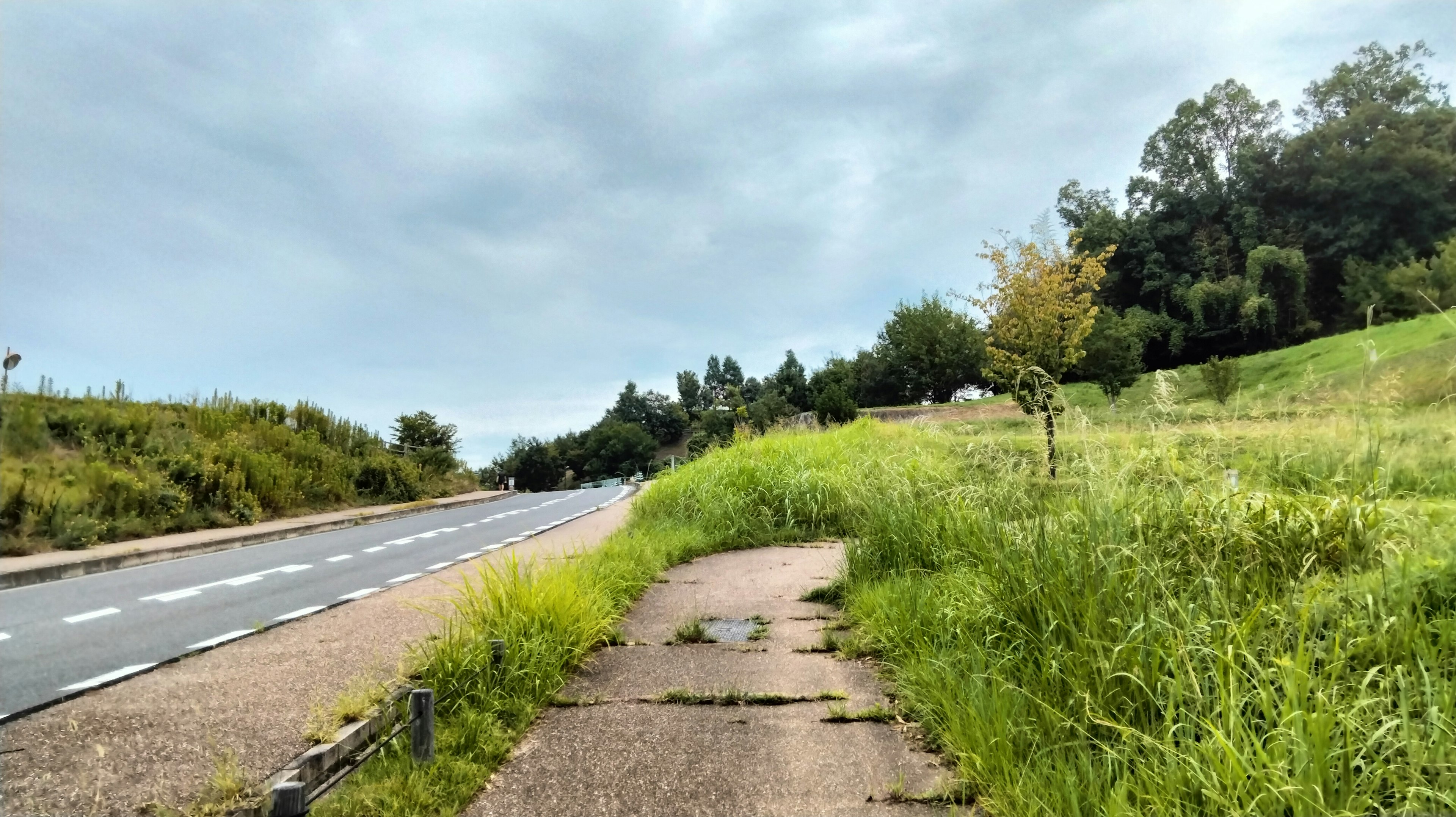 Marciapiede pavimentato accanto a un'area erbosa e una strada sotto un cielo nuvoloso