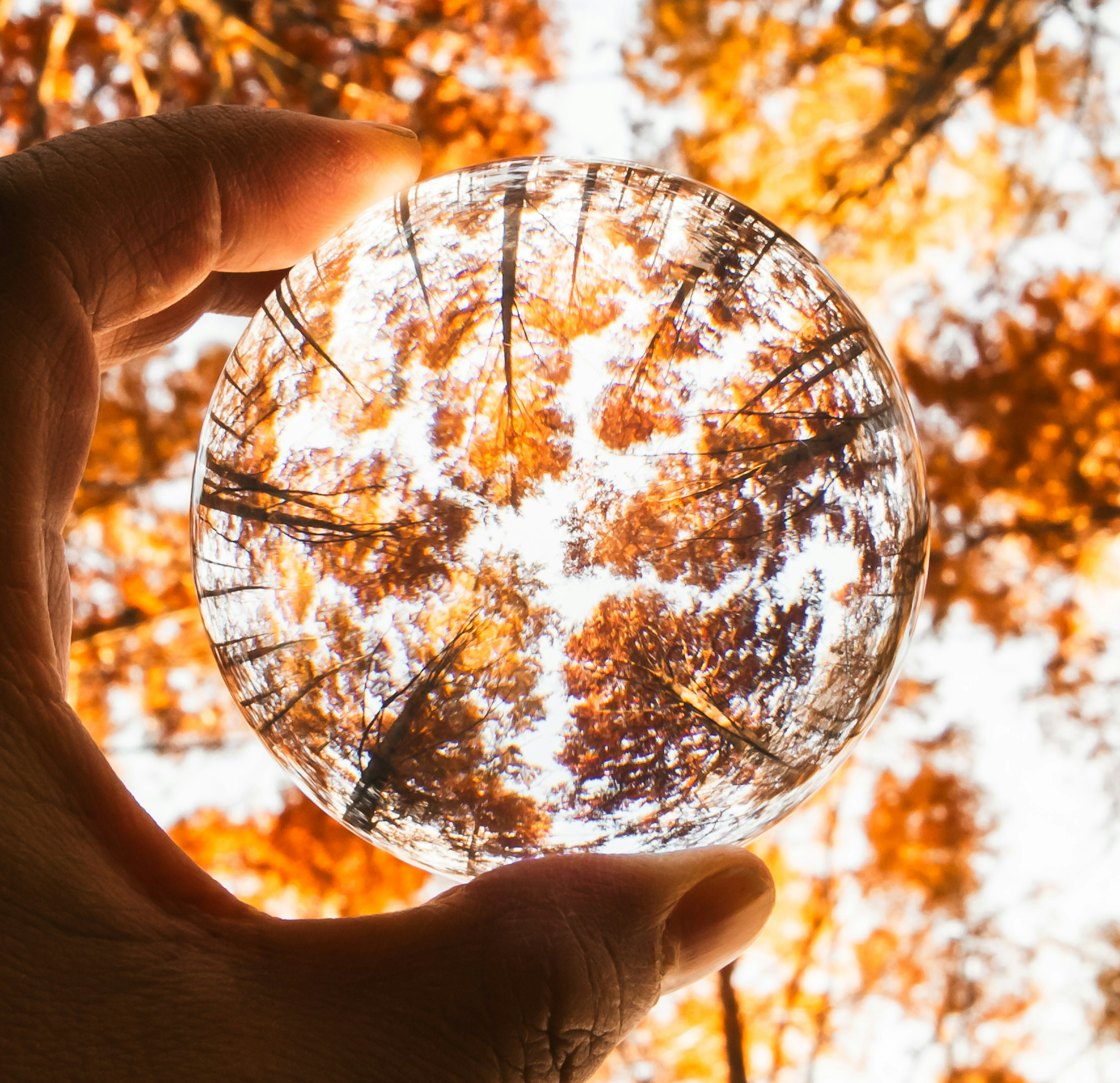 Autumn trees viewed through a crystal ball held in hand