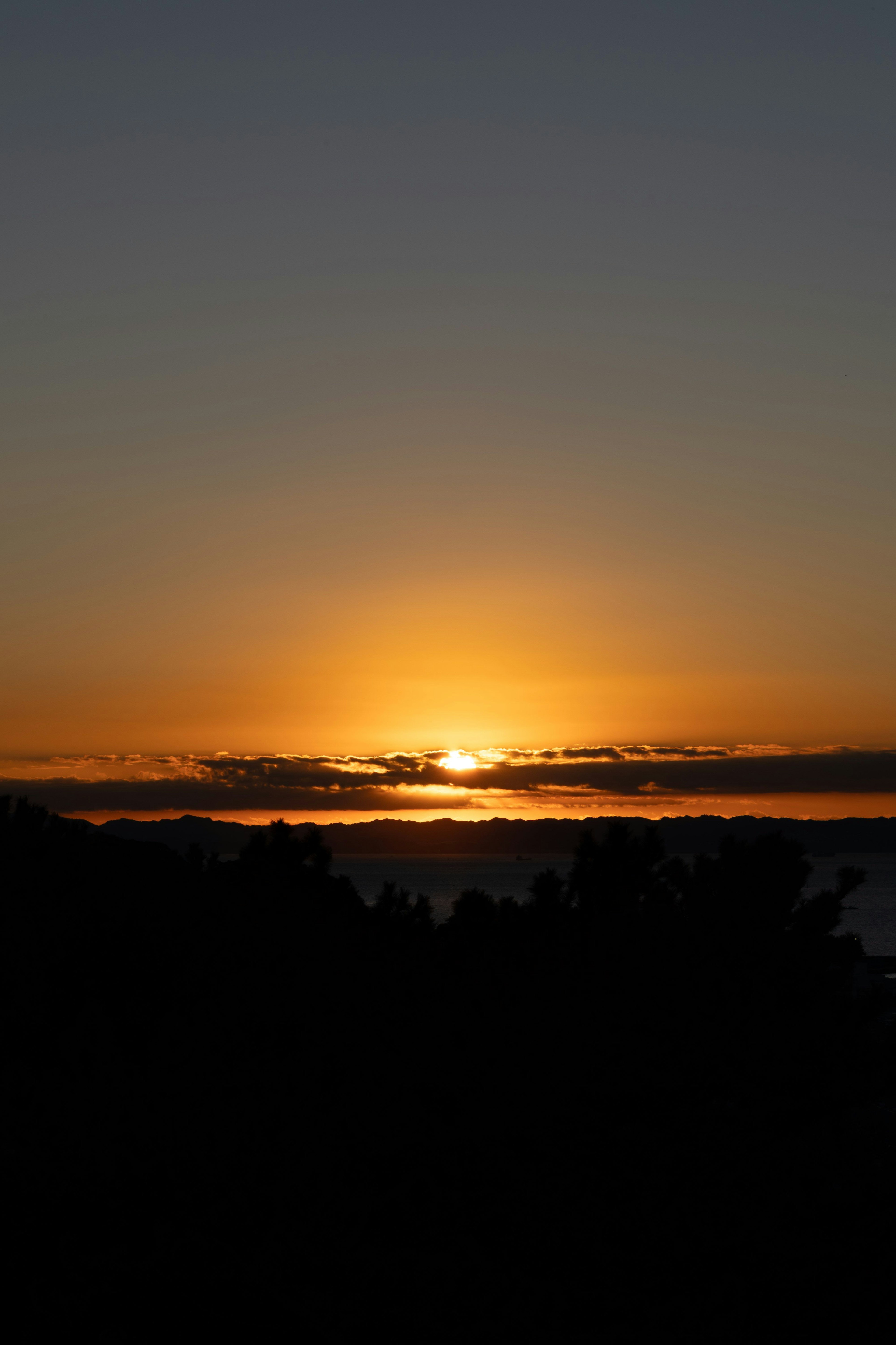 夕日が沈む美しい風景 黒いシルエットの木々とオレンジ色の空