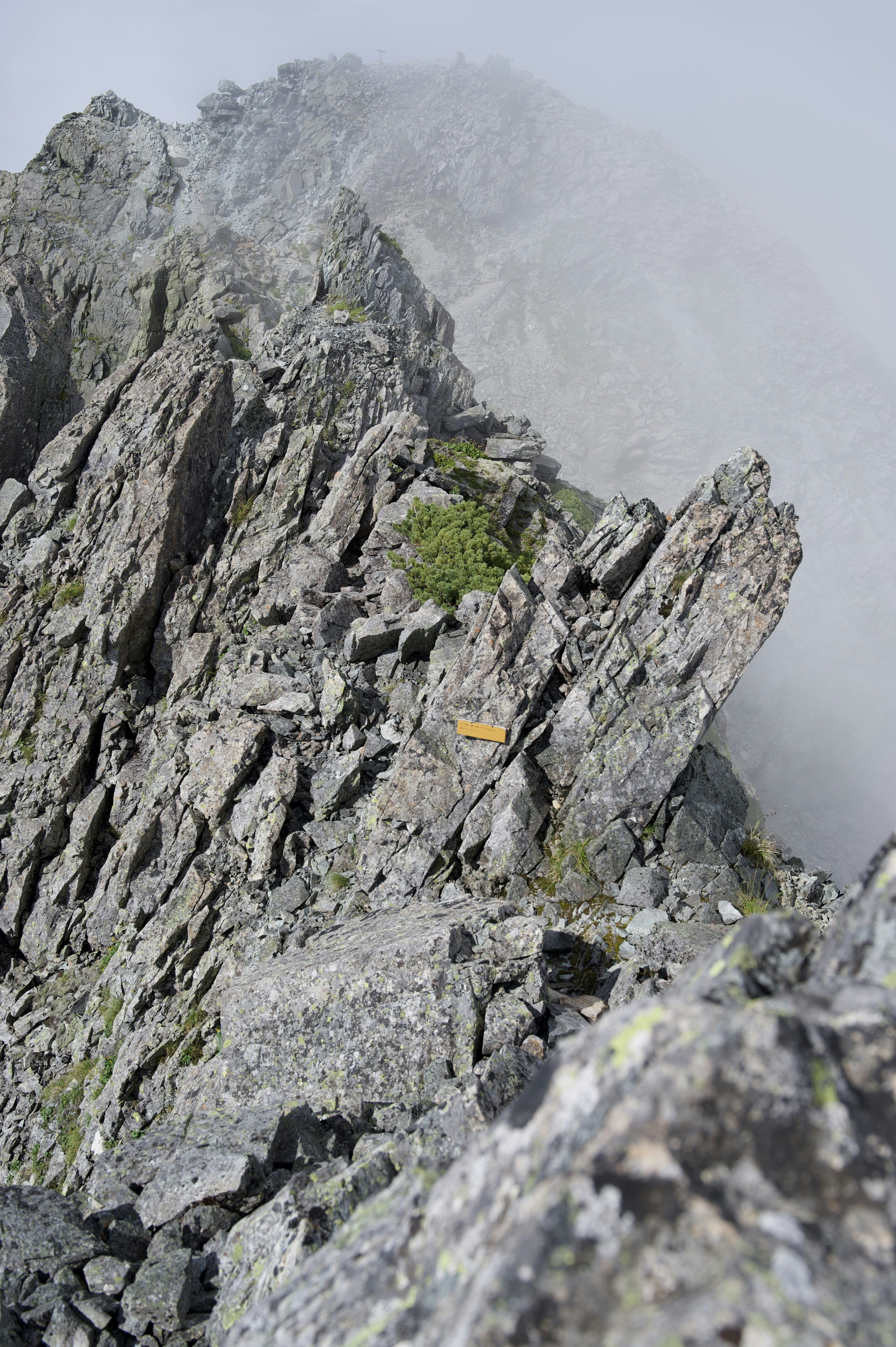 Close-up of a rocky mountain ridge shrouded in mist