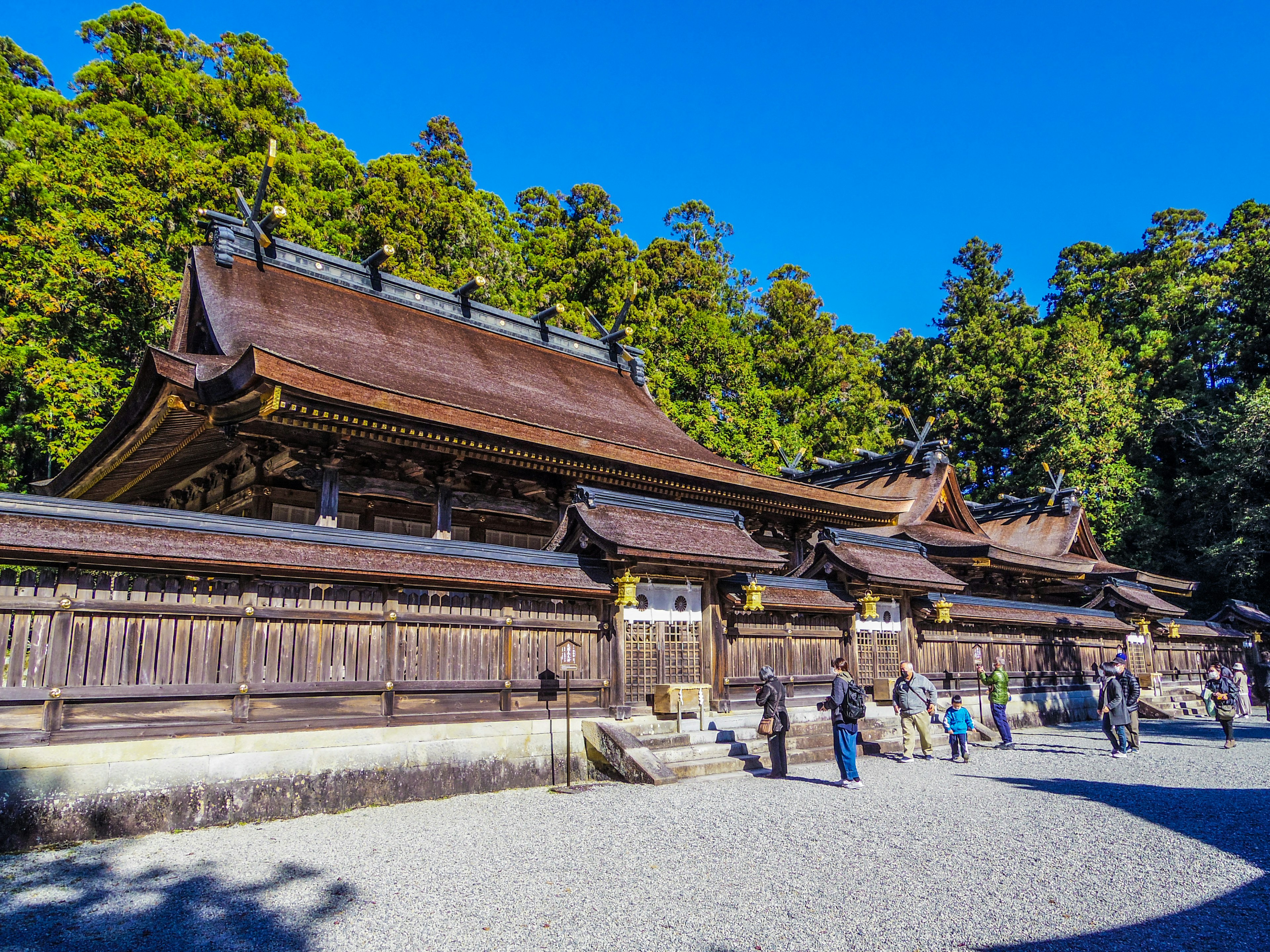 美しい木造の神社が青い空の下に広がる緑の森に囲まれている