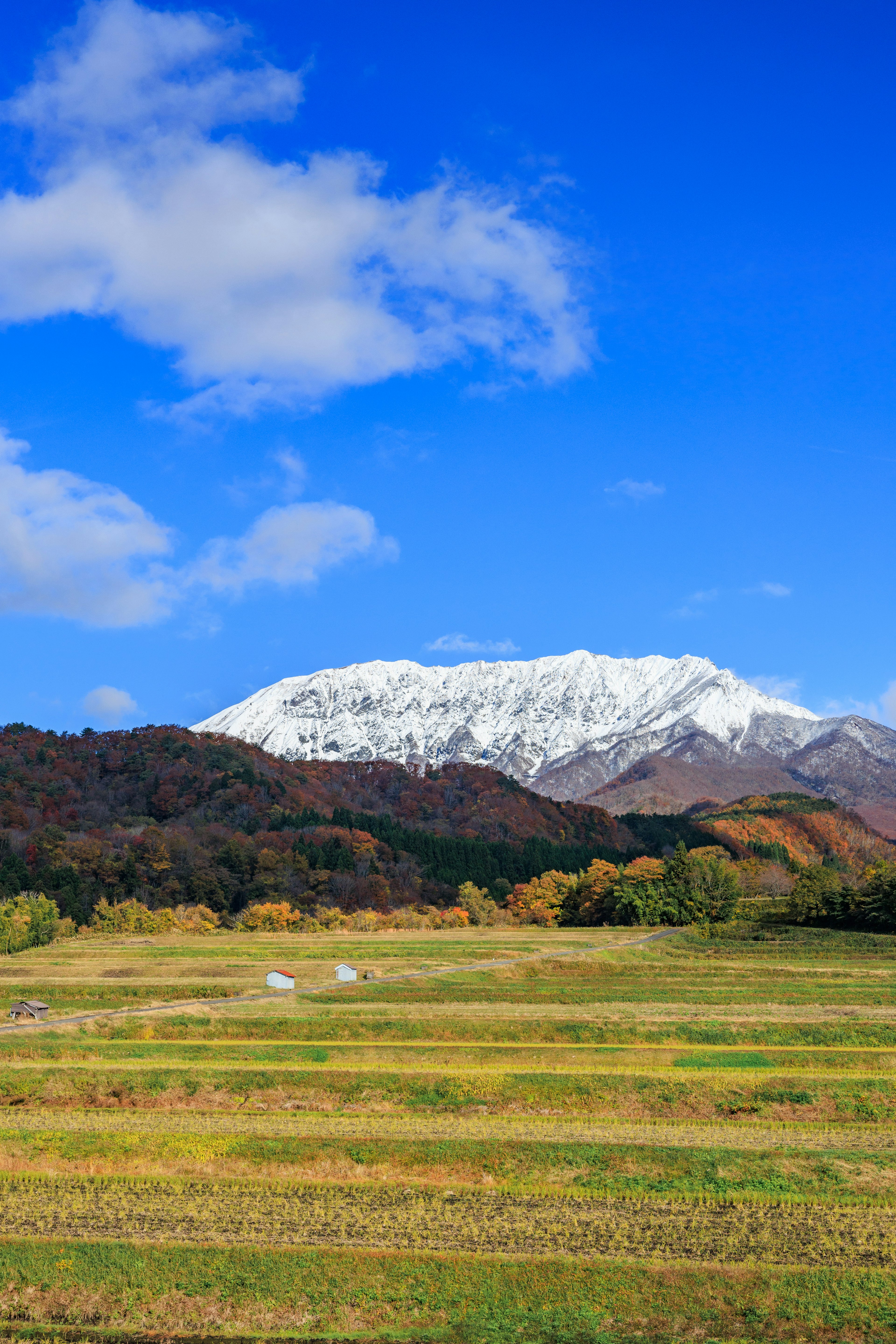 Rural landscape with a snow-capped mountain under a bright blue sky