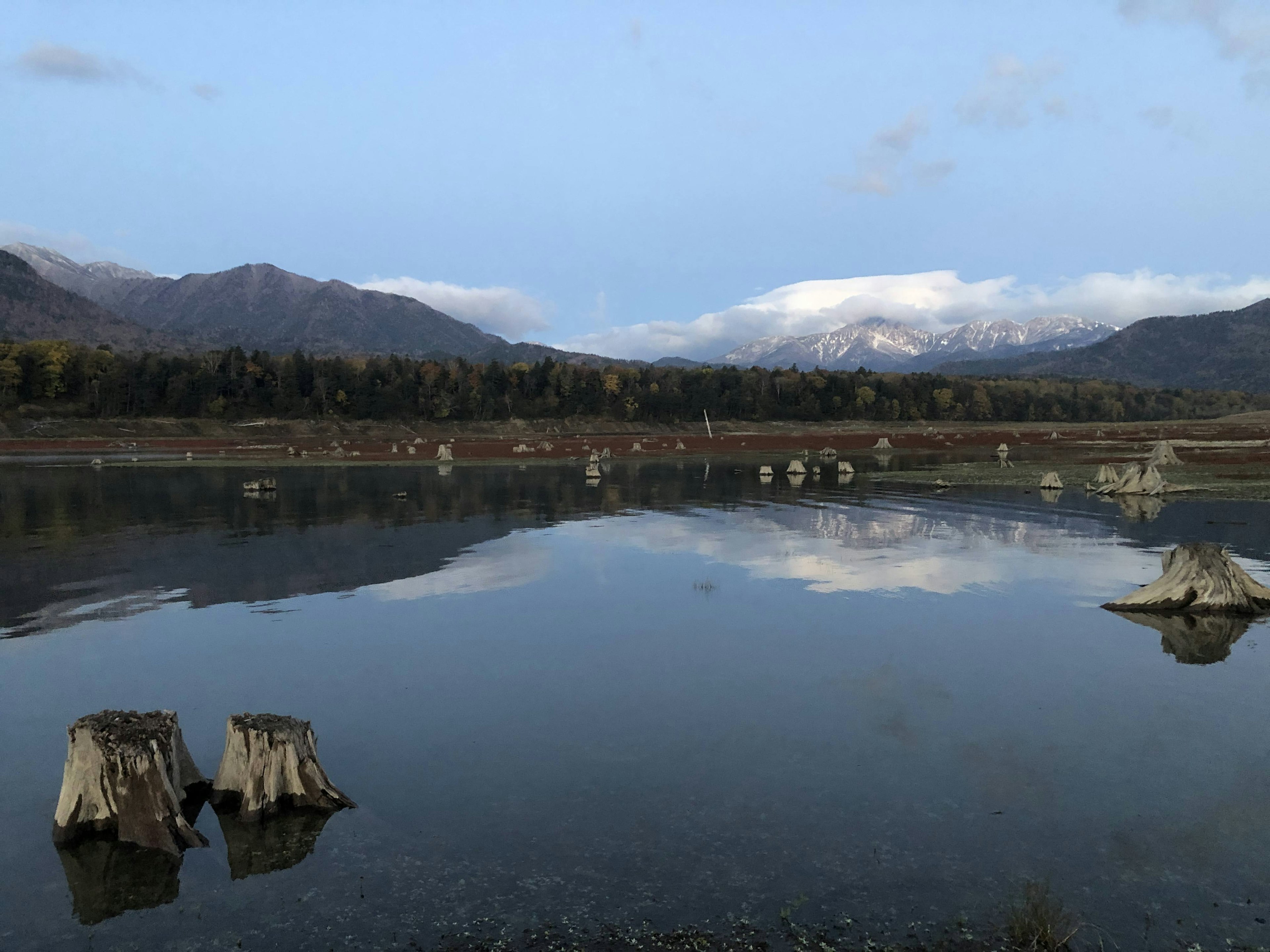 寧靜湖泊景觀，山脈在水中倒影和樹樁