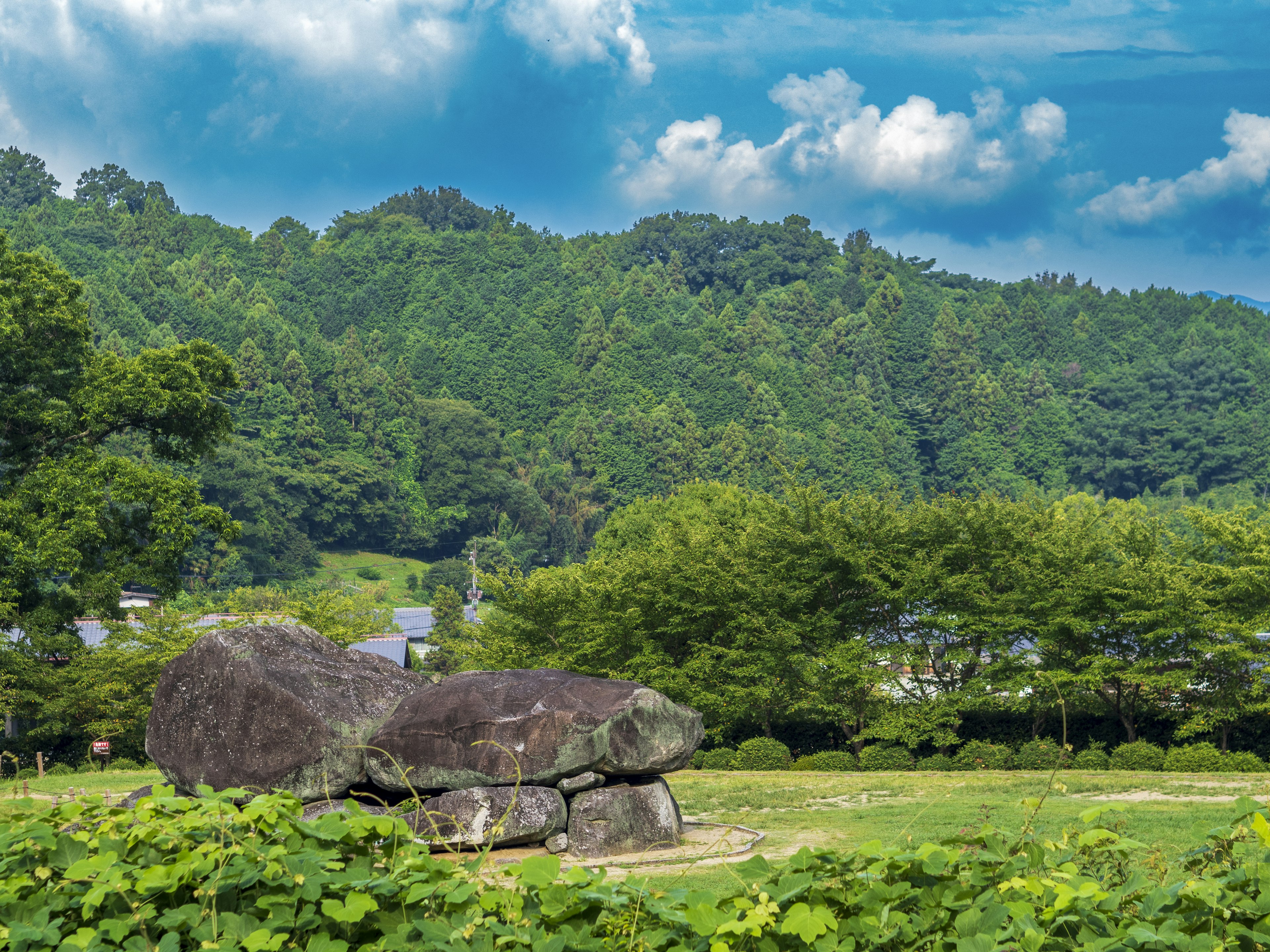 緑豊かな丘の背景にある大きな岩と青い空