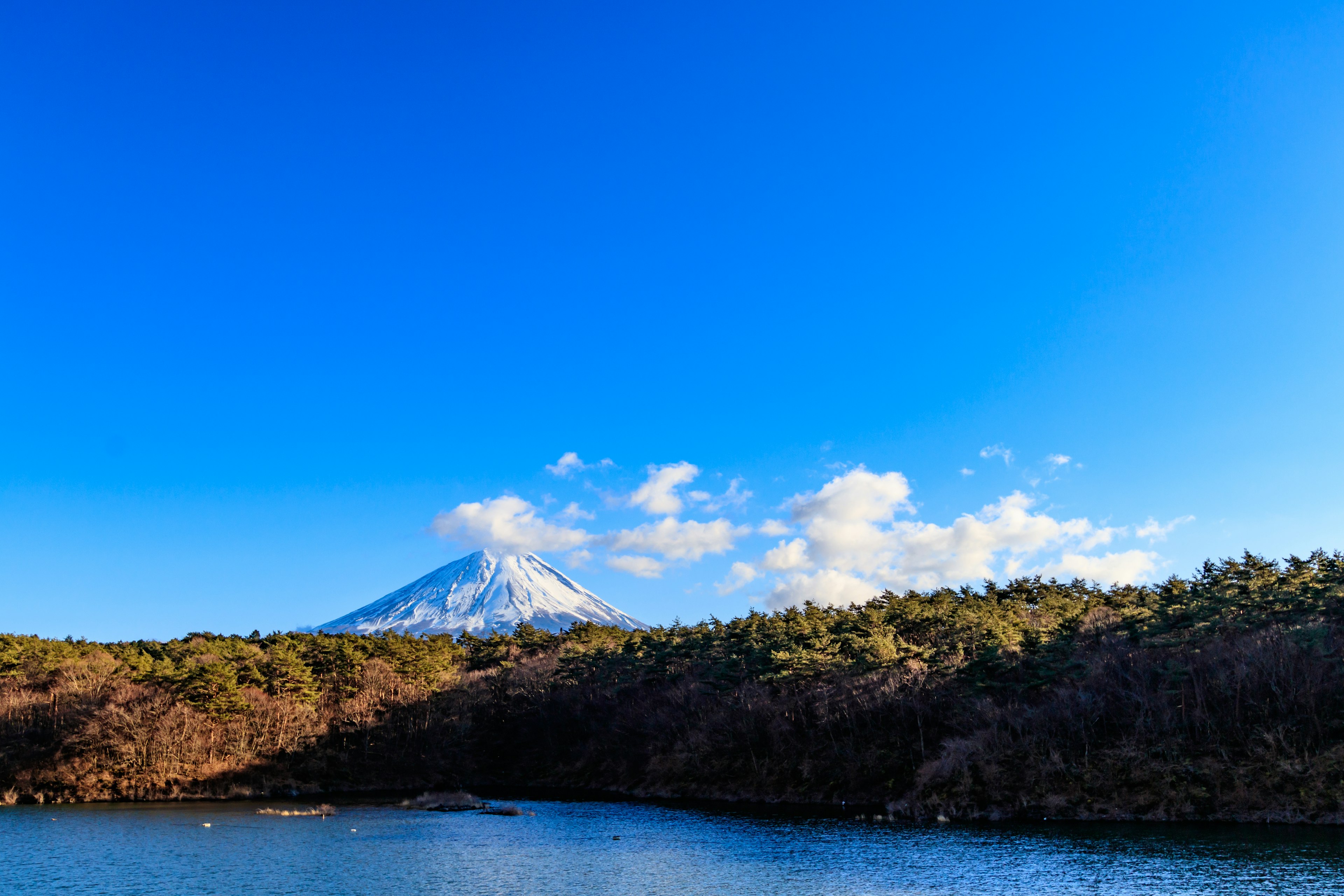 Vista del monte Fuji y un lago bajo un cielo azul claro