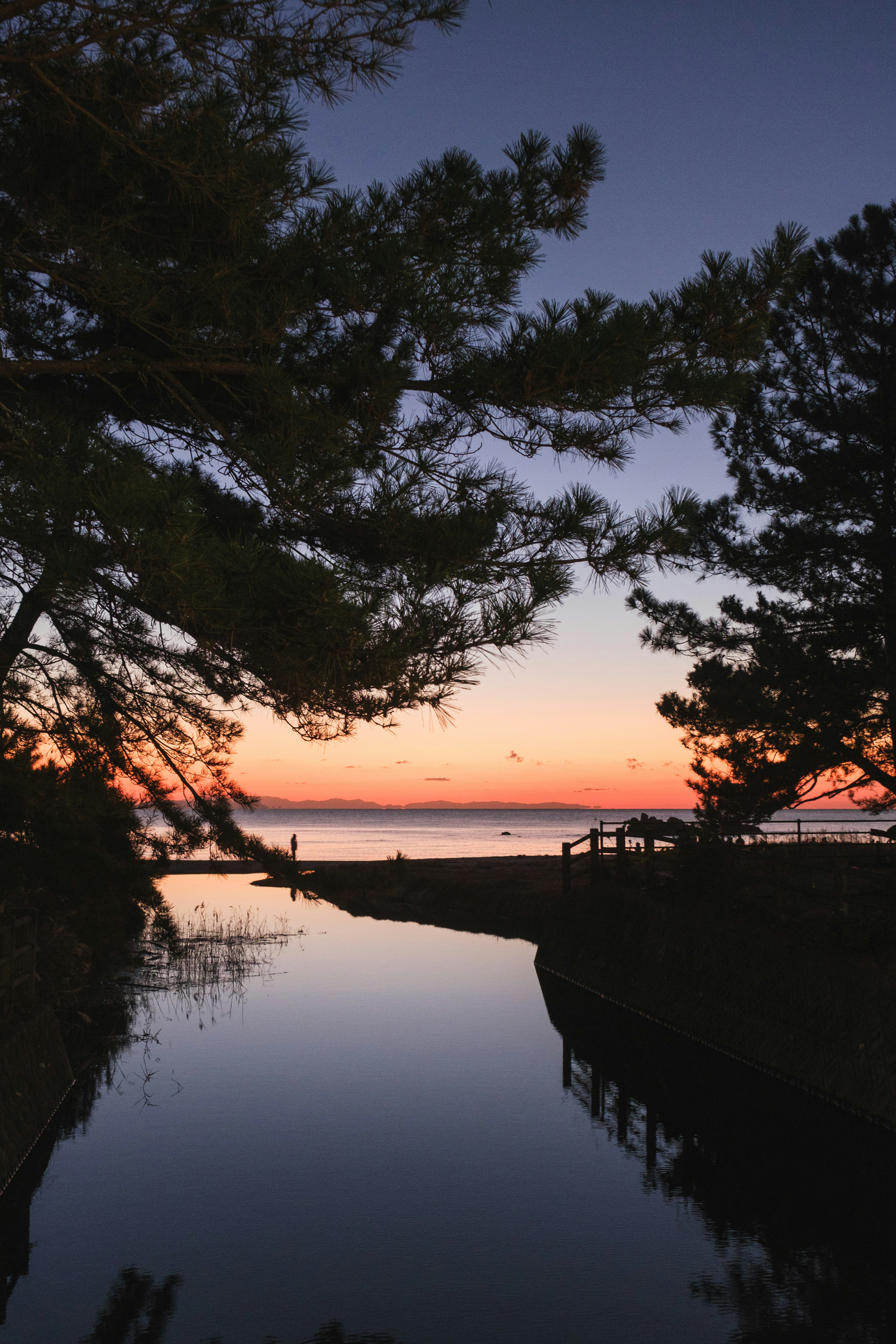 Ruscello tranquillo che riflette alberi e tonalità del tramonto