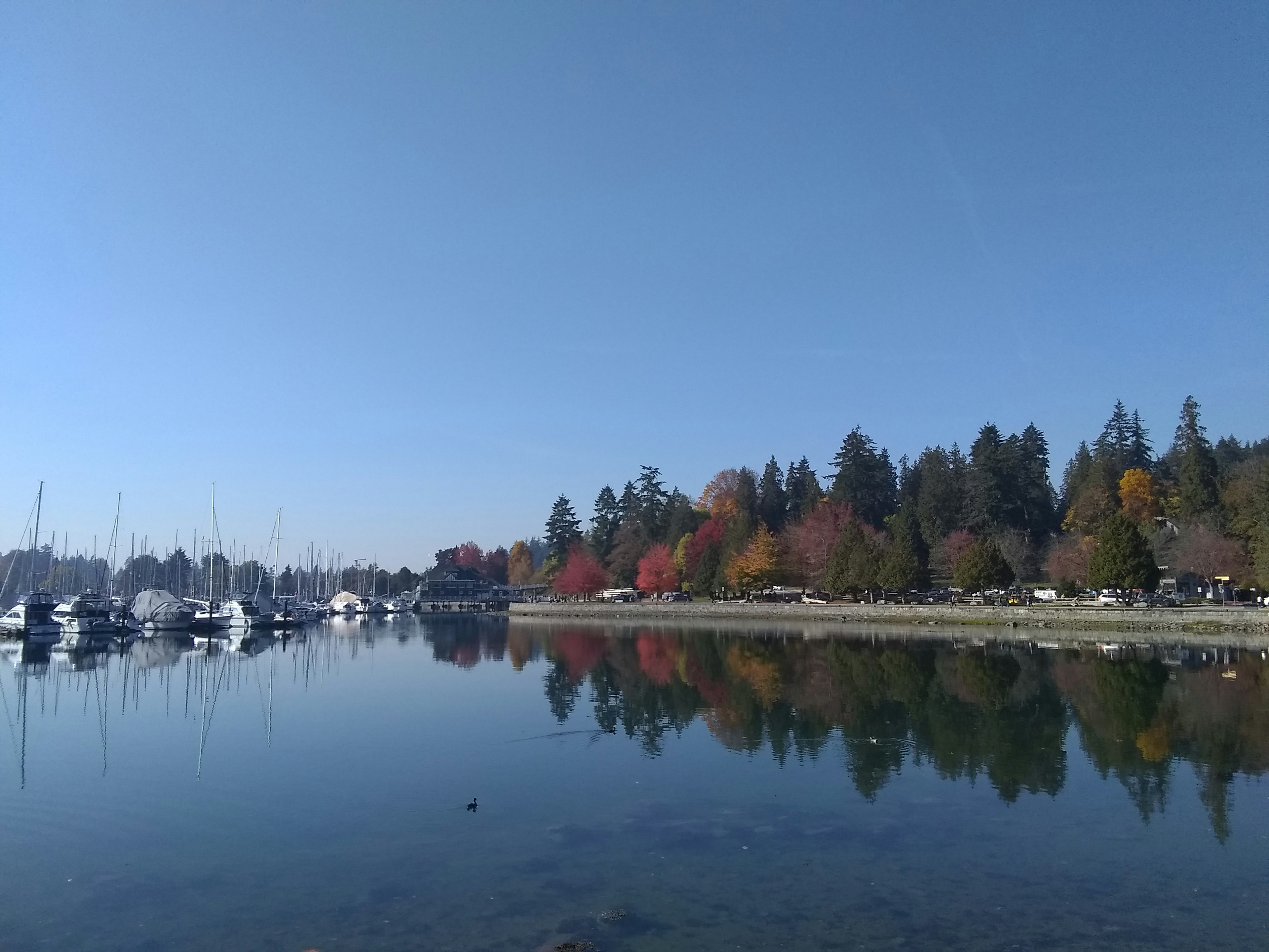 Ruhige Seesicht mit bunten Herbstbäumen und reflektierten Booten