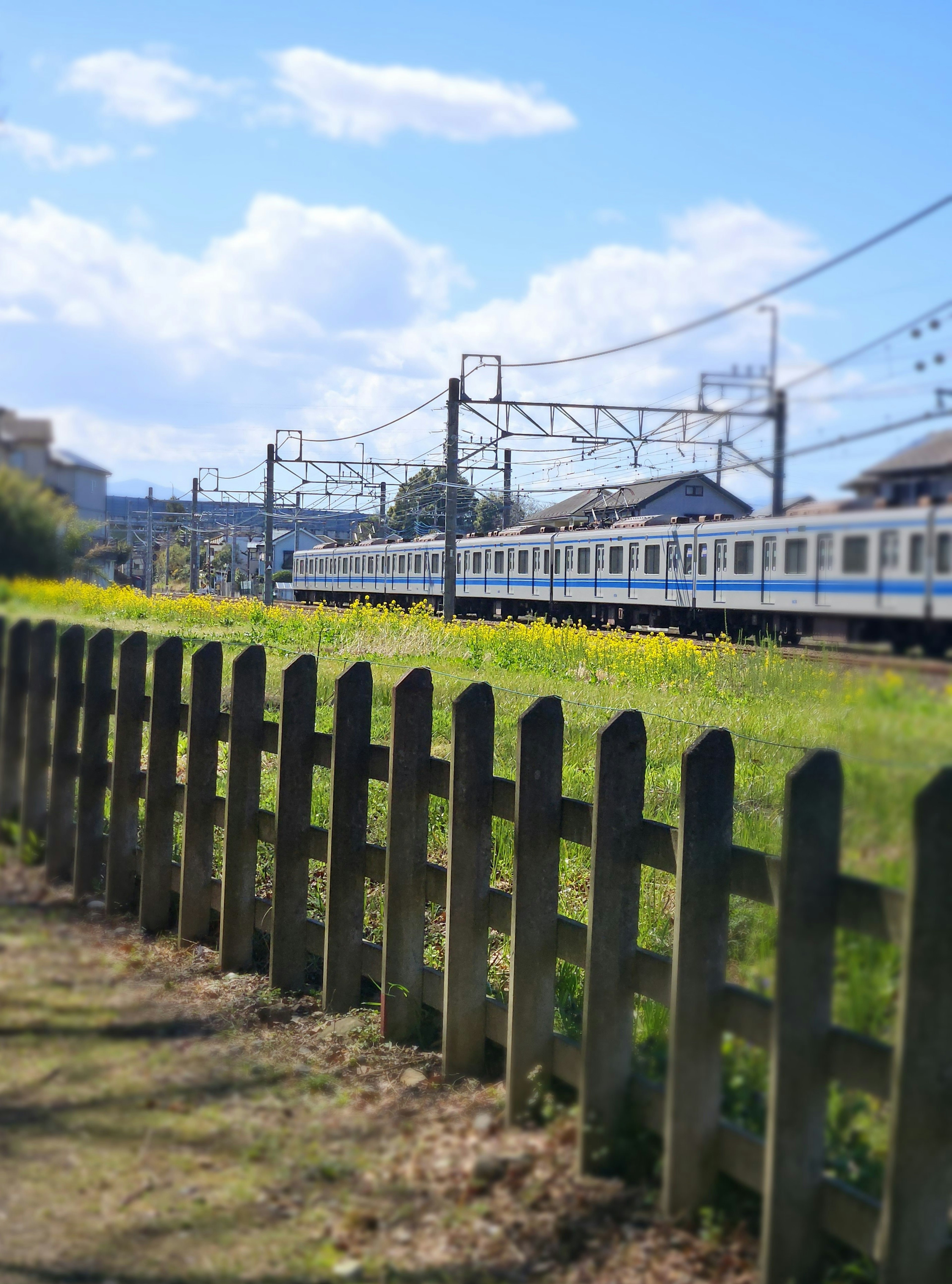 青空の下にある電車と木製フェンスの風景