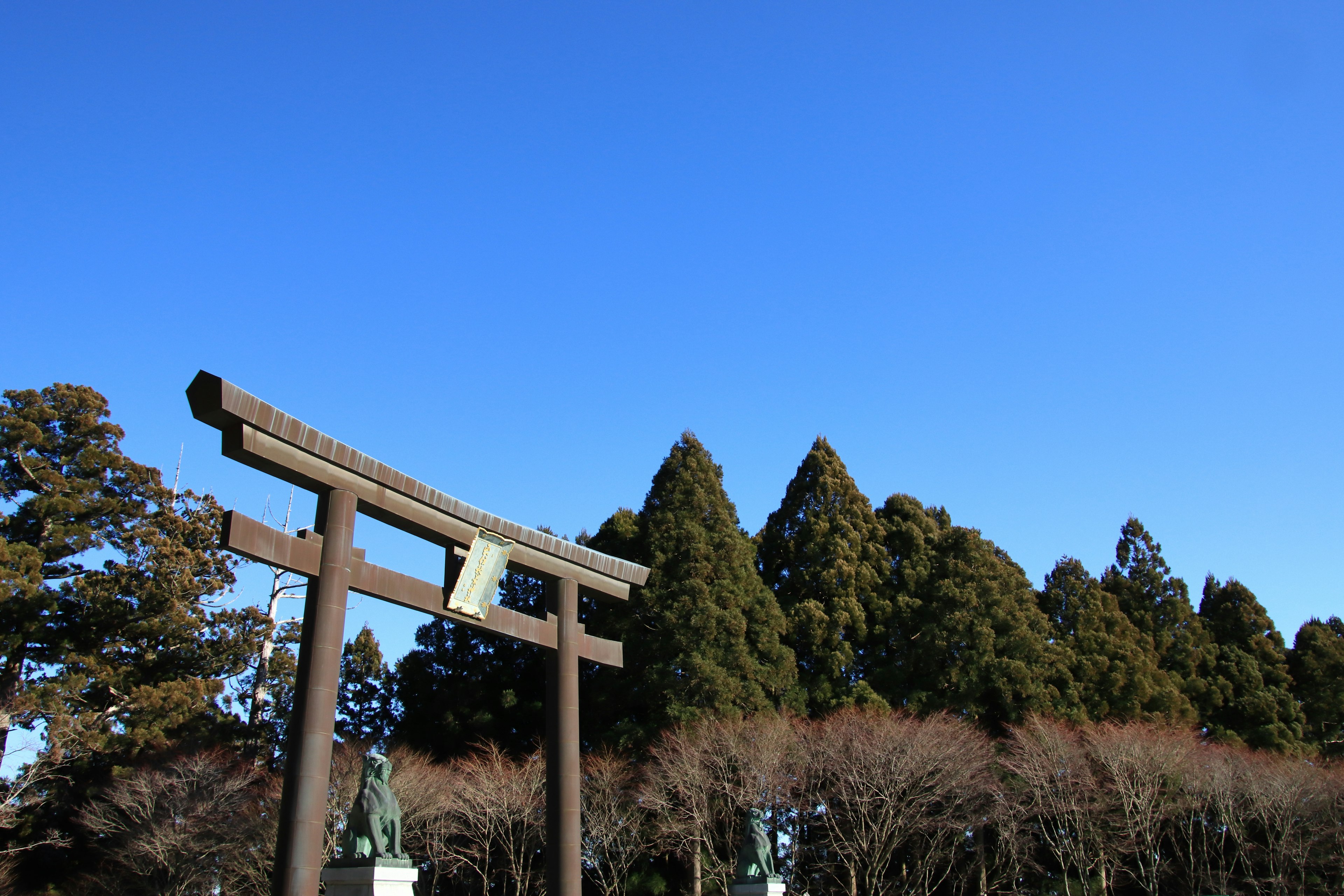 Gerbang torii kayu di bawah langit biru dengan pohon hijau