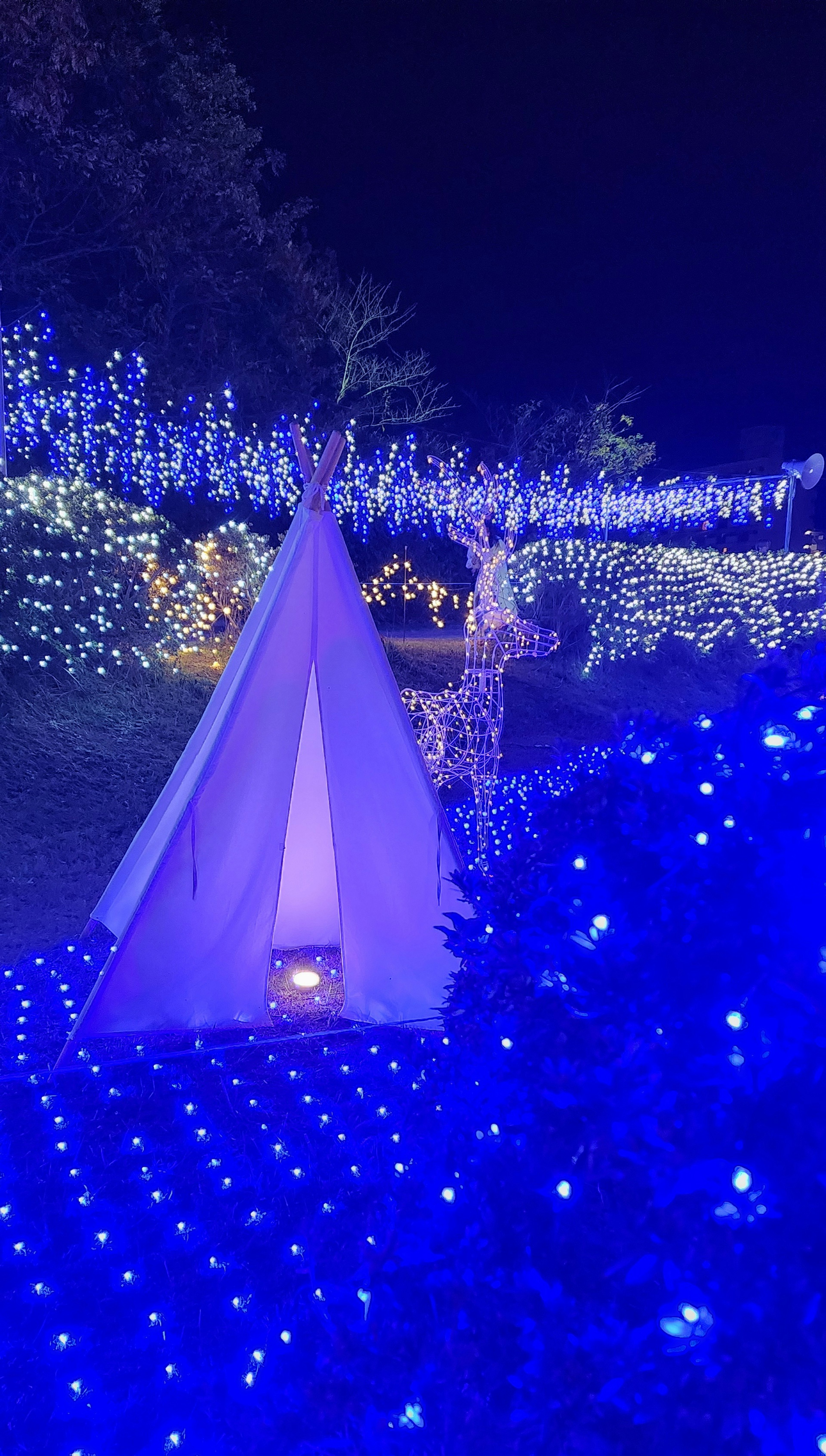 Tenda circondata da luci blu e paesaggio del giardino illuminato