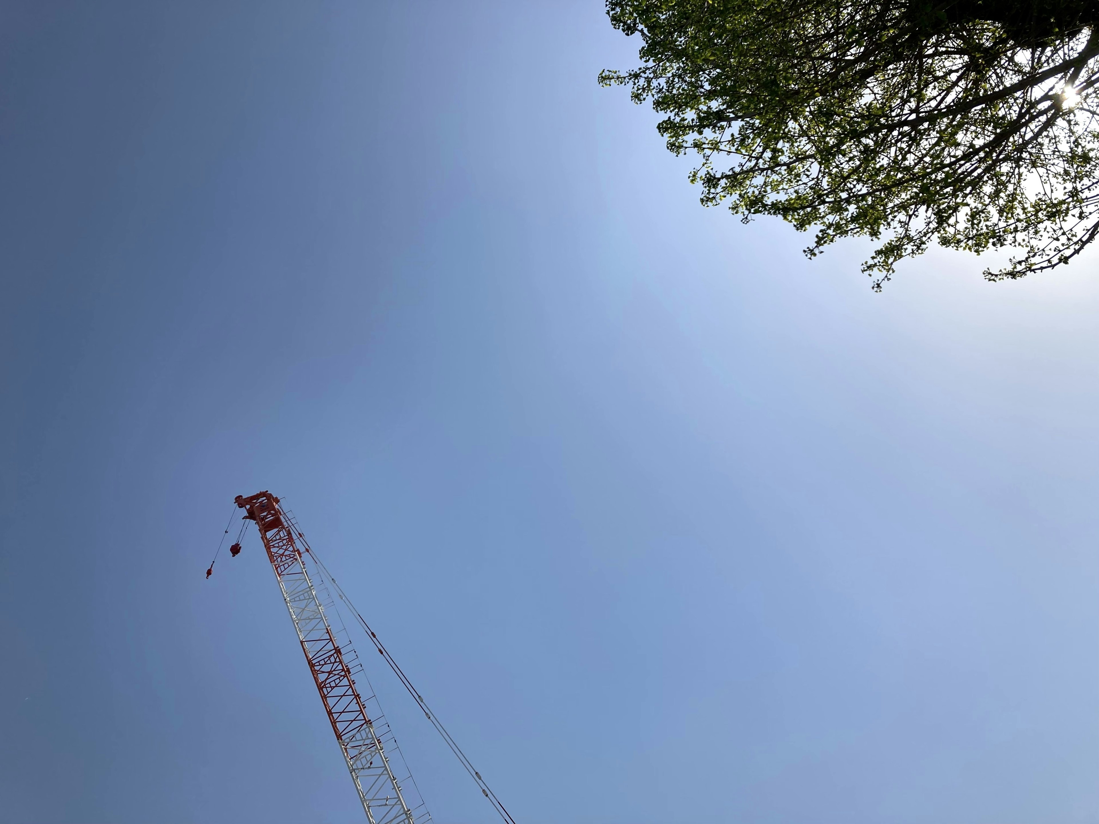 Ein Kran, der gegen einen klaren blauen Himmel mit Baumzweigen ragt