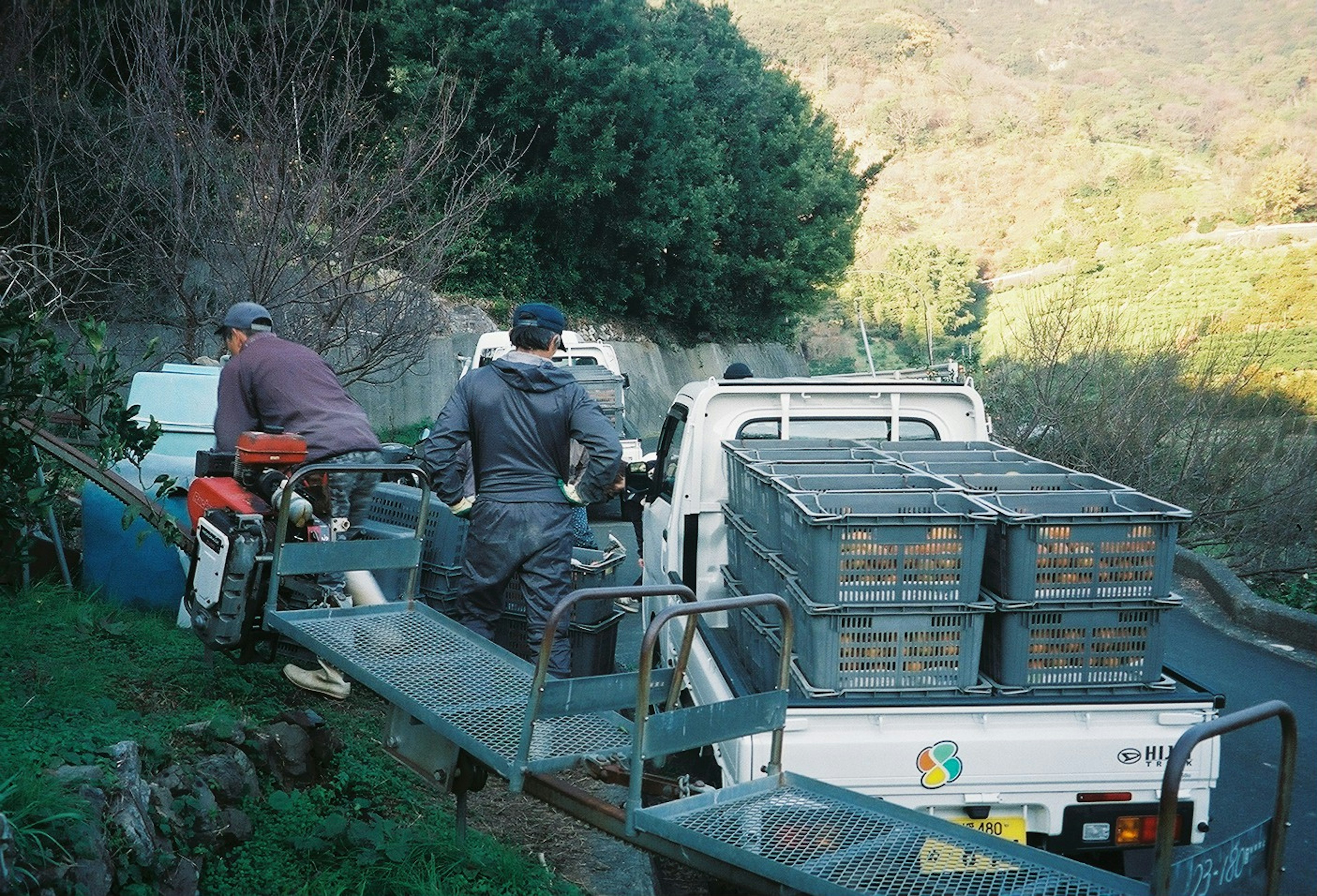 Farmers harvesting fruit with a truck in the background