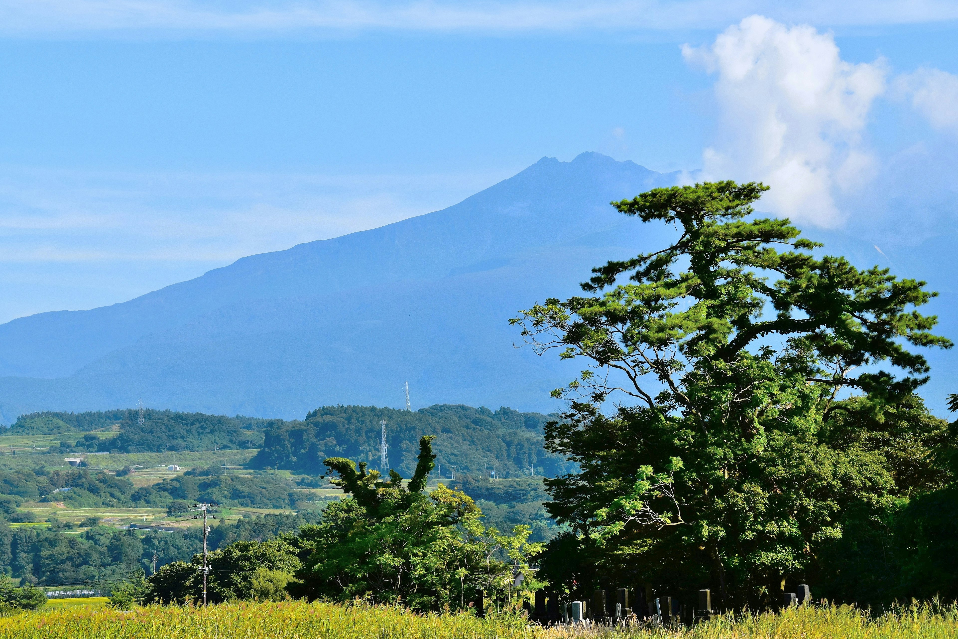 Pemandangan indah gunung dengan vegetasi subur di latar depan