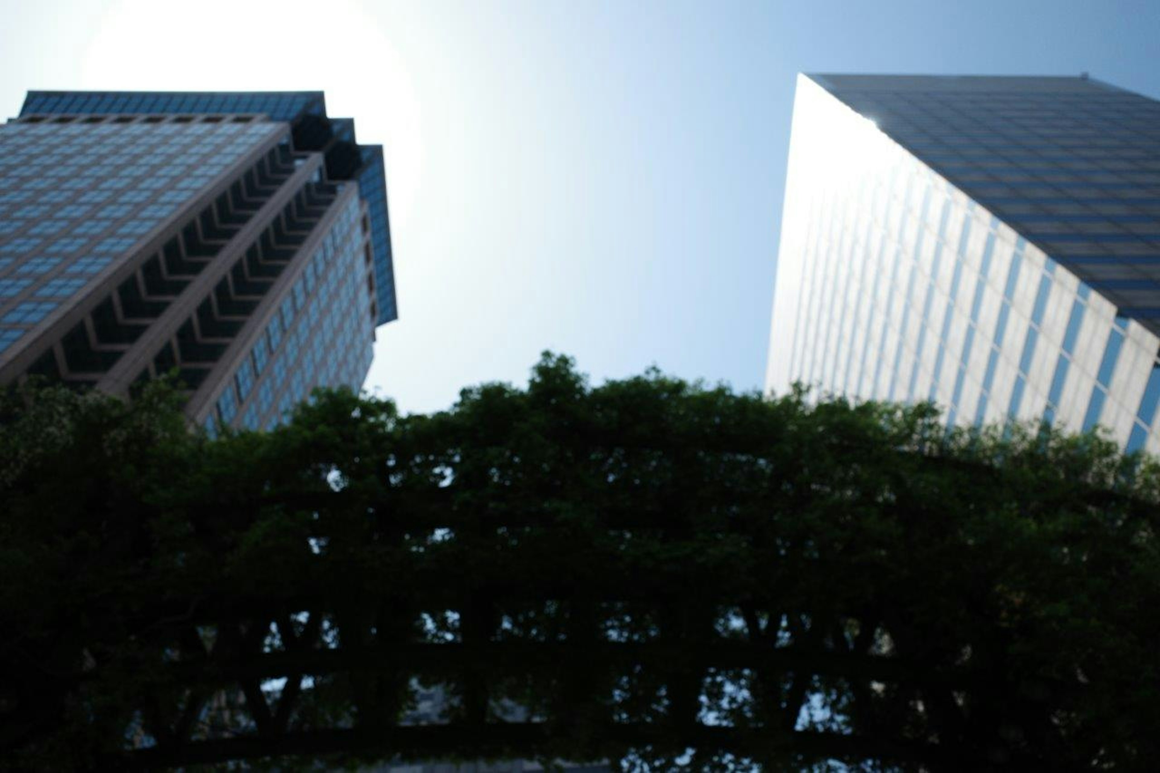 Arco verde enmarcado por edificios altos y cielo azul claro