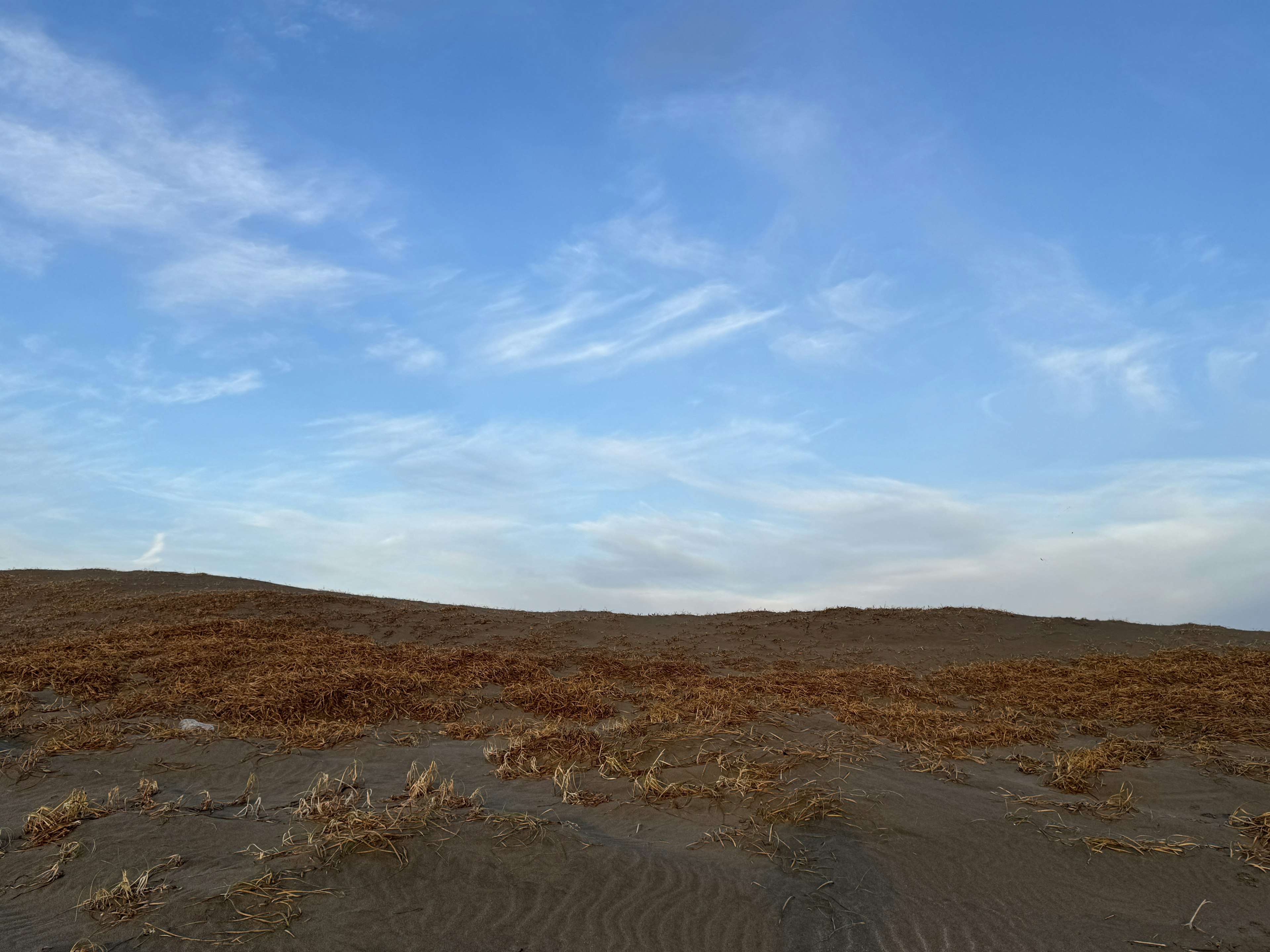 Weitläufige sandige Landschaft mit trockener Vegetation blauer Himmel mit weißen Wolken