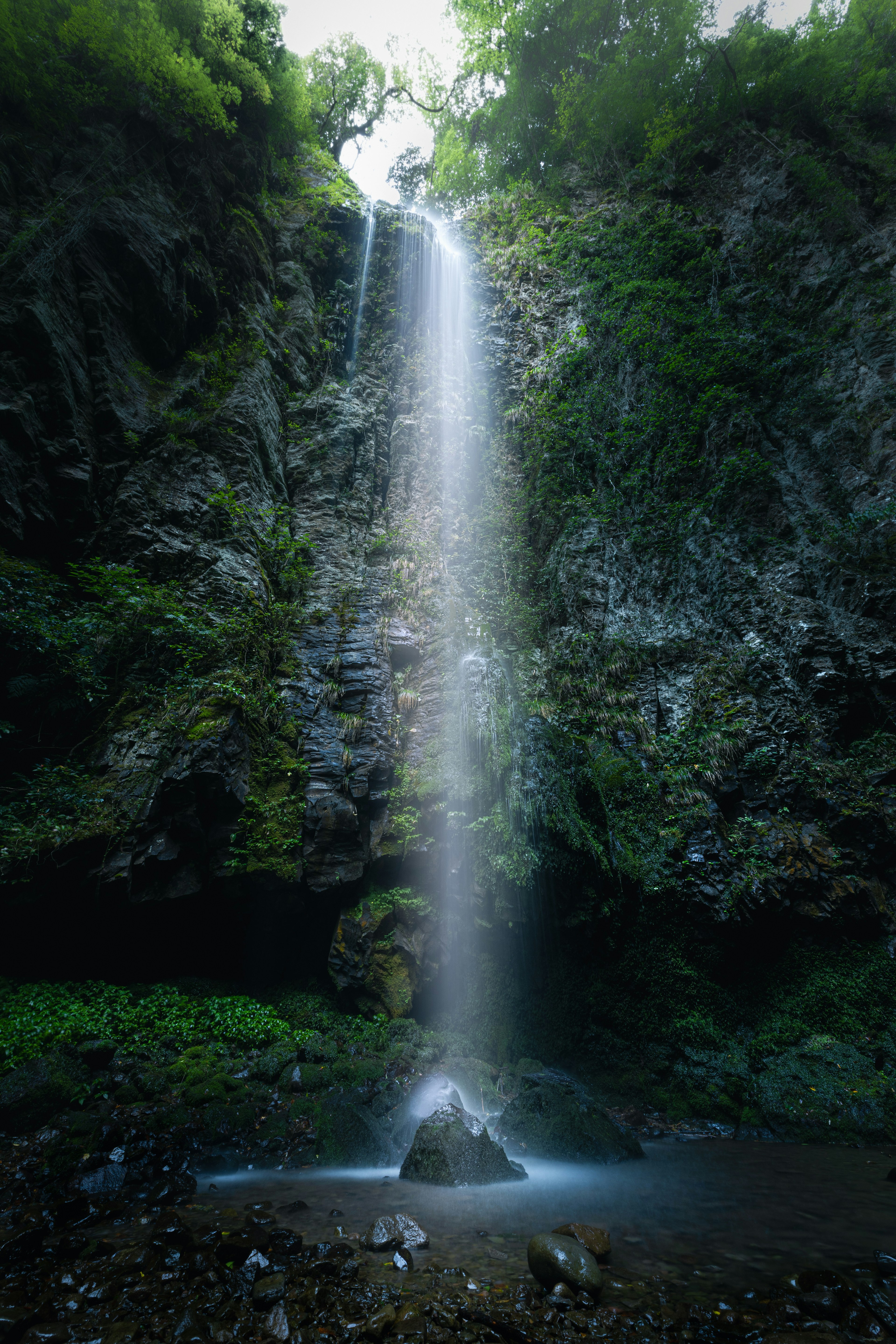 緑に囲まれた美しい滝が岩肌を流れ落ちる風景