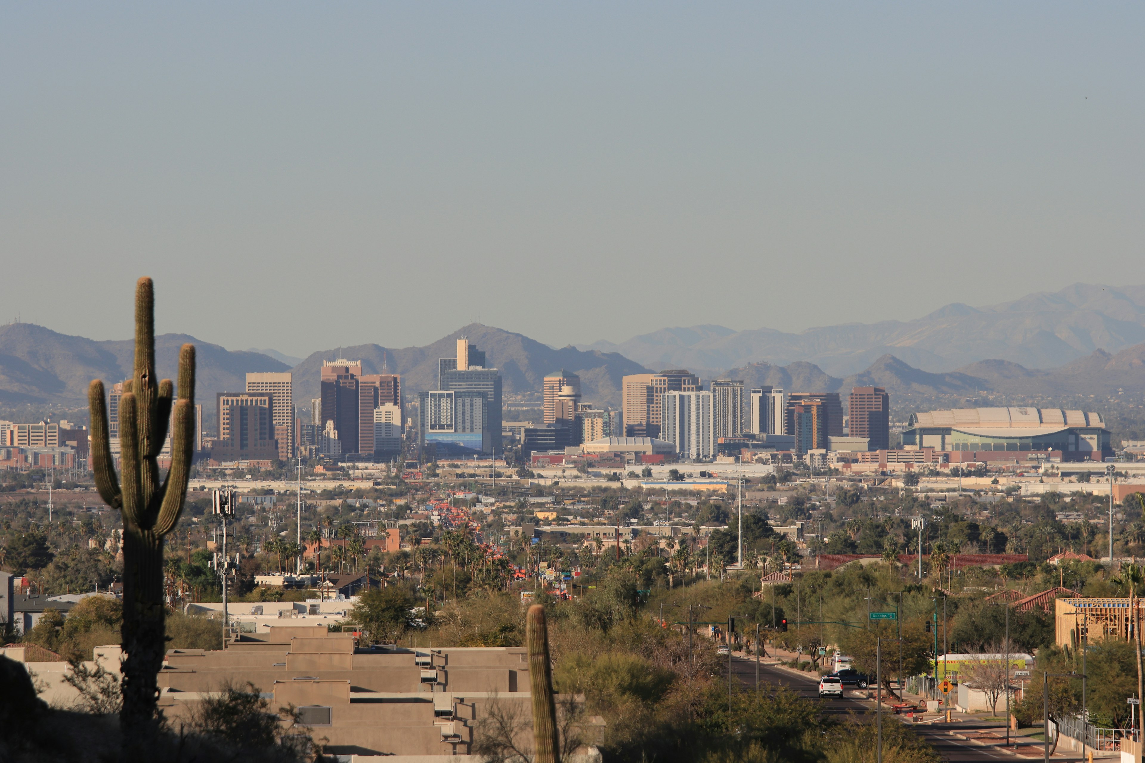 Phoenix city skyline with a cactus in the foreground