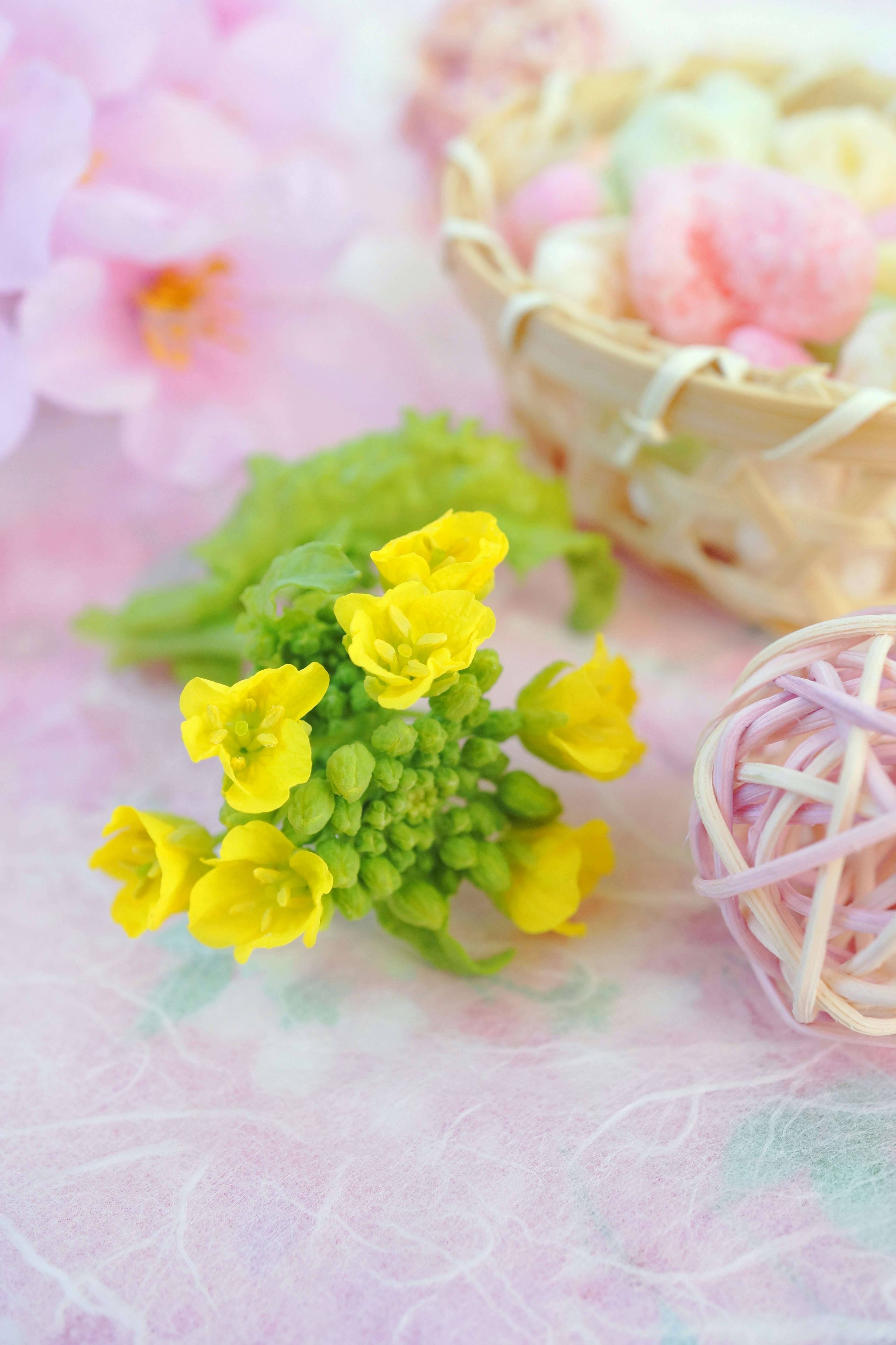 Gelbe Blumen mit grünen Blättern auf einem sanften rosa Hintergrund