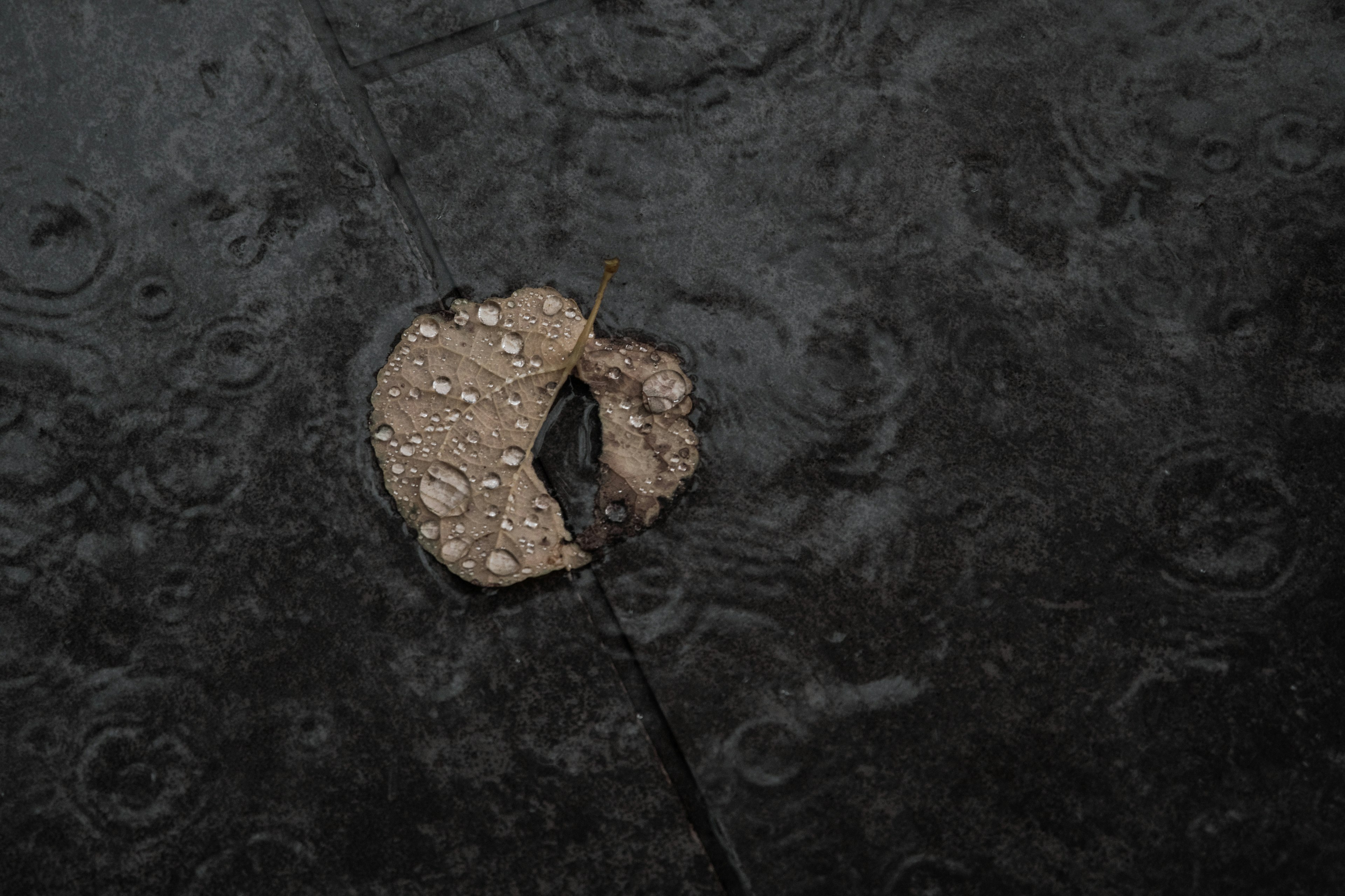 Close-up of a surface with a hole during rain