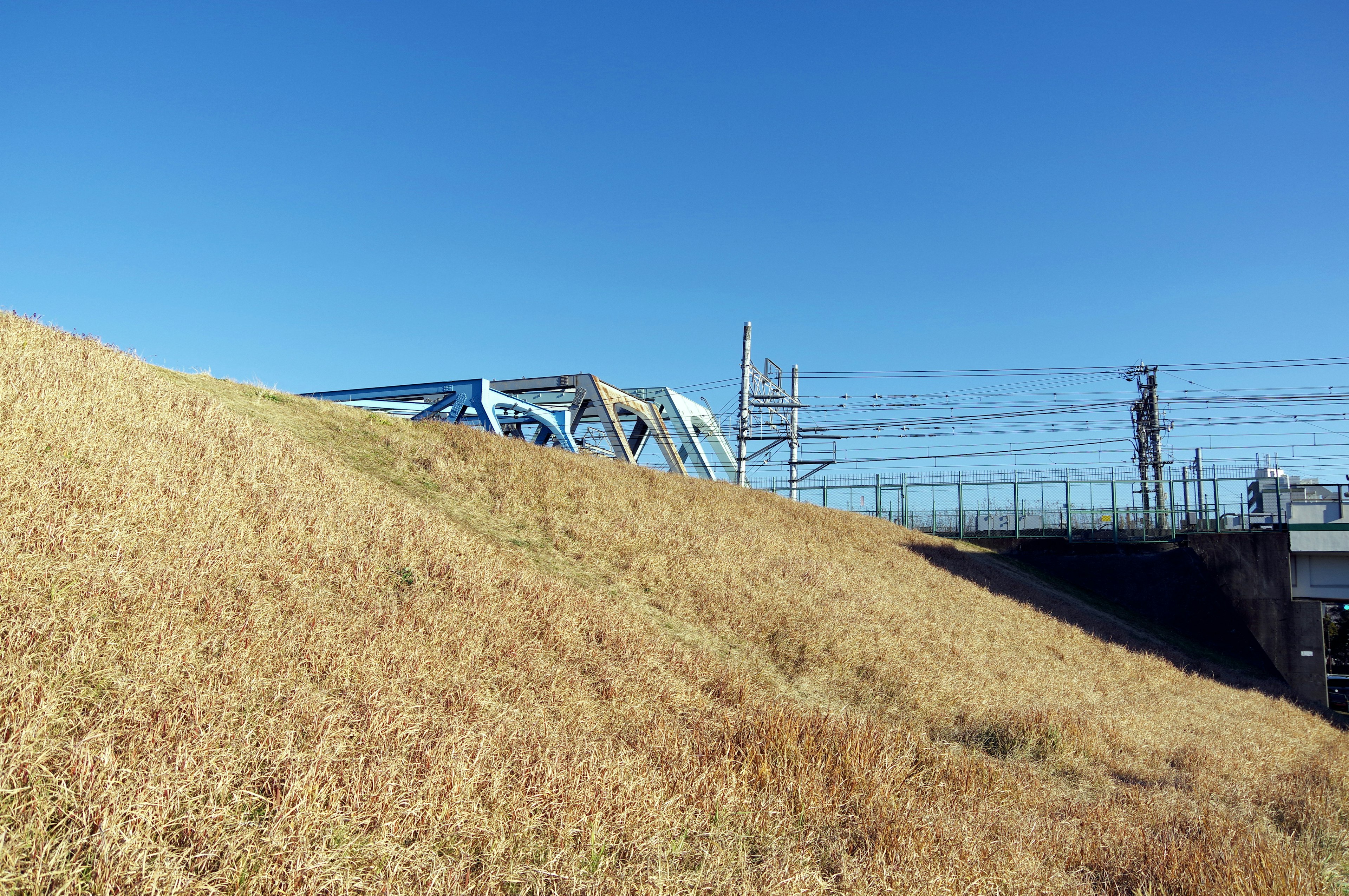 Landschaft mit goldenem Gras unter blauem Himmel und einer Eisenbahnbrücke