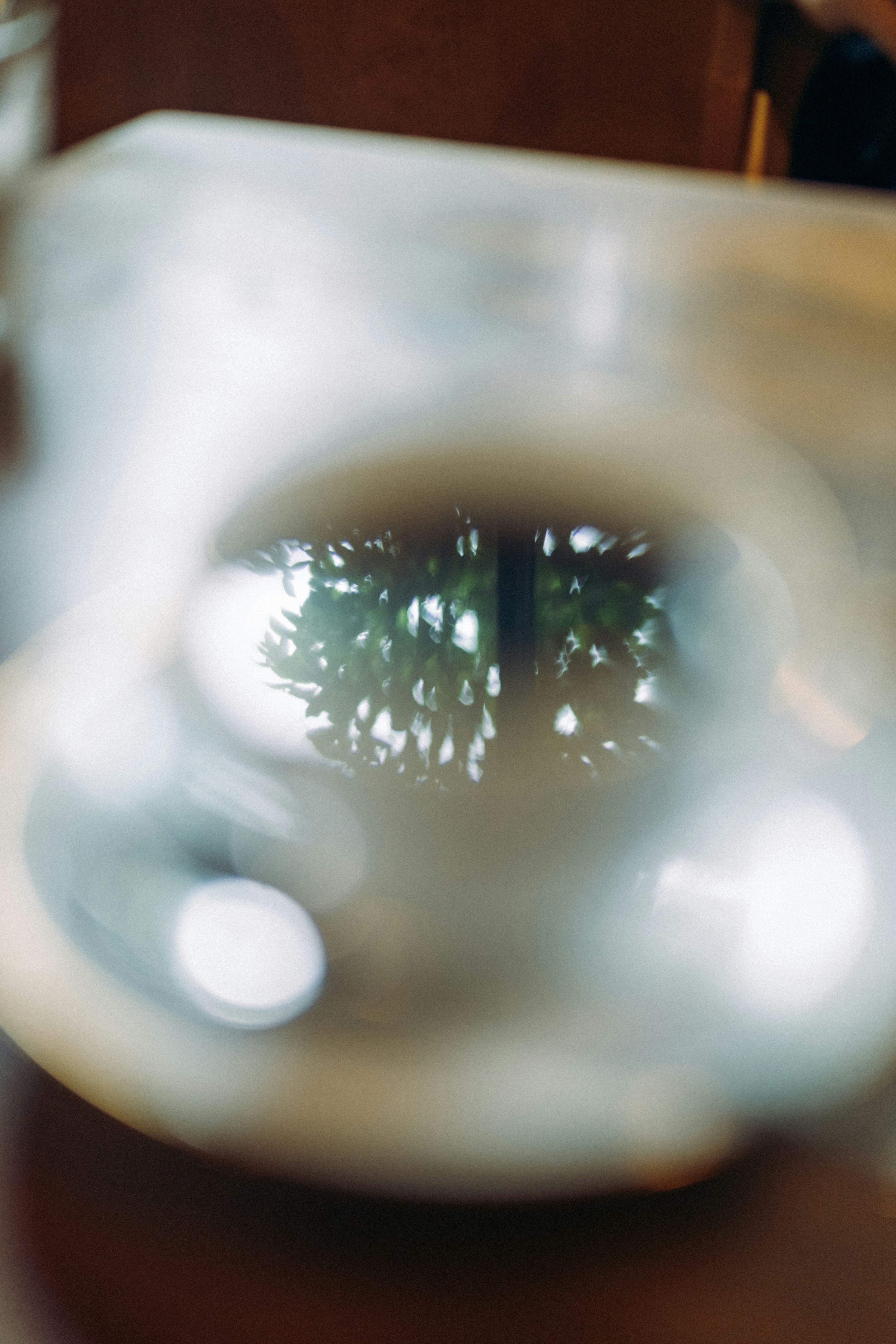 Blurred glass reflecting green plants