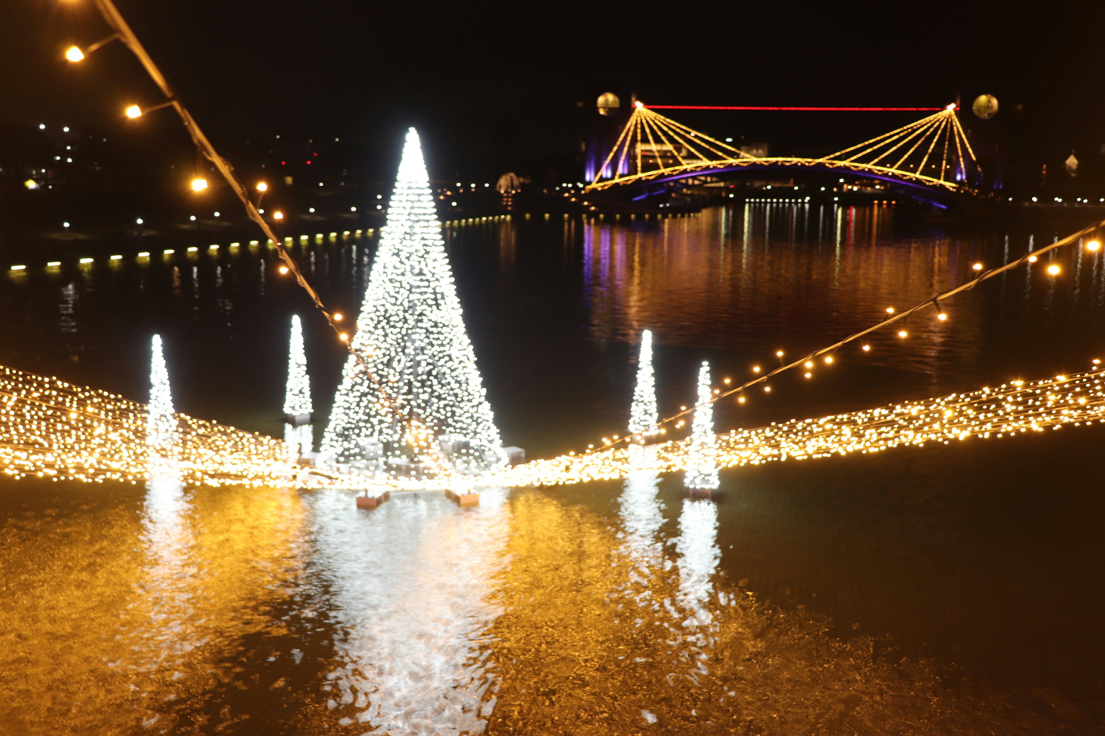 Schöne nächtliche Szene mit beleuchteten Weihnachtsbäumen und einer Brücke