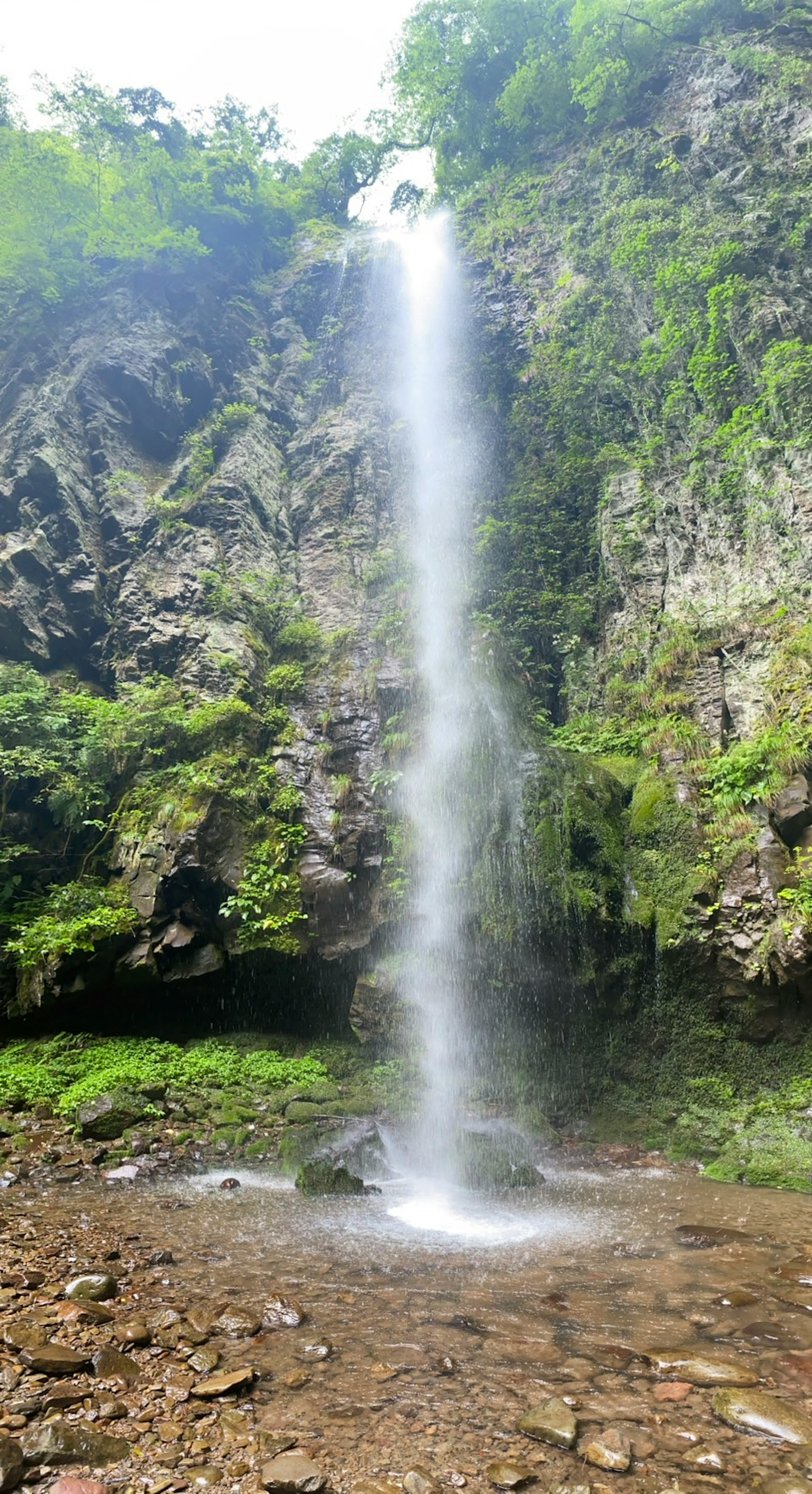 美丽的瀑布从丰盛的绿植中倾泻而下