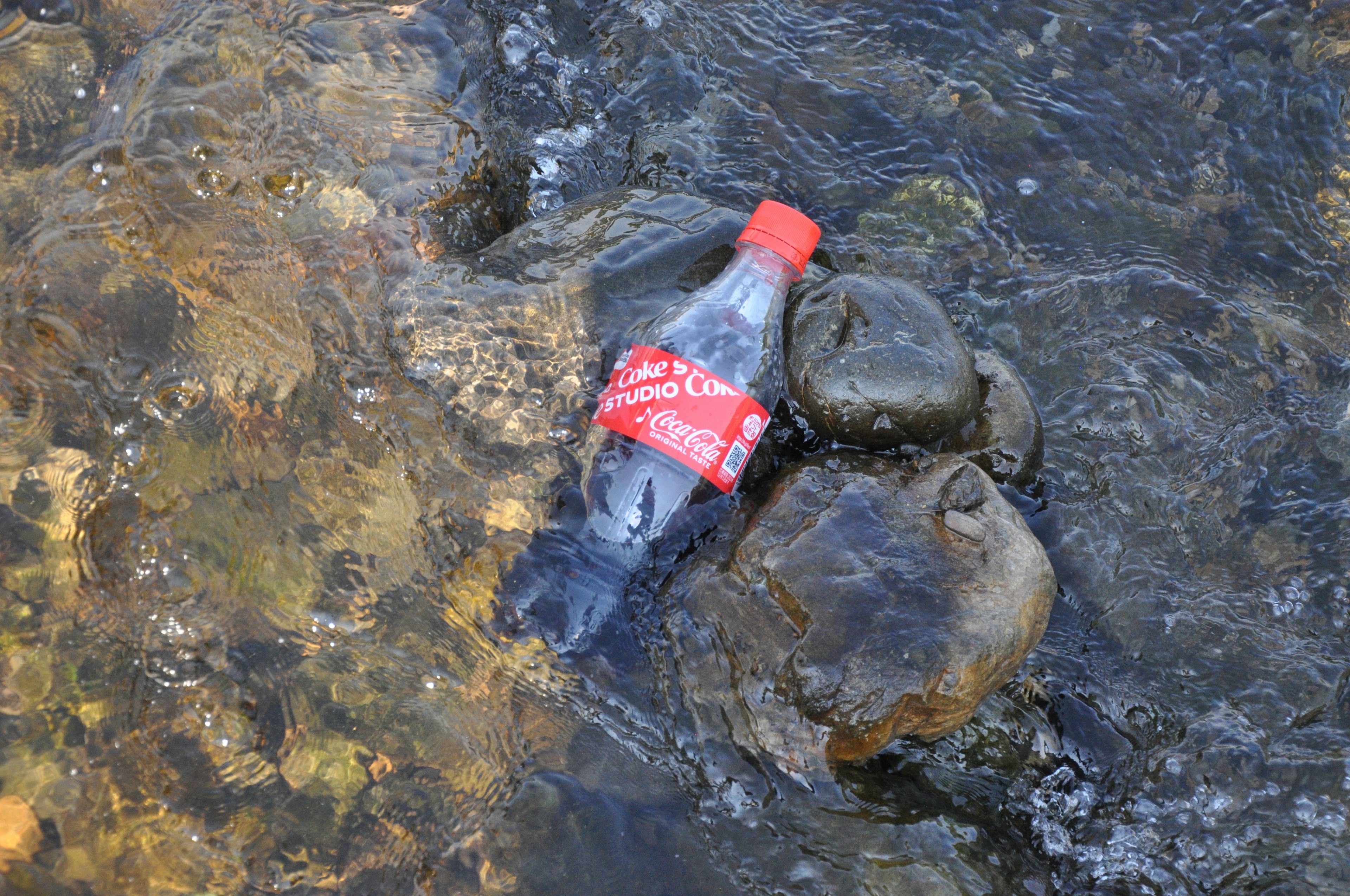 Botella de Coca-Cola flotando en el agua entre piedras