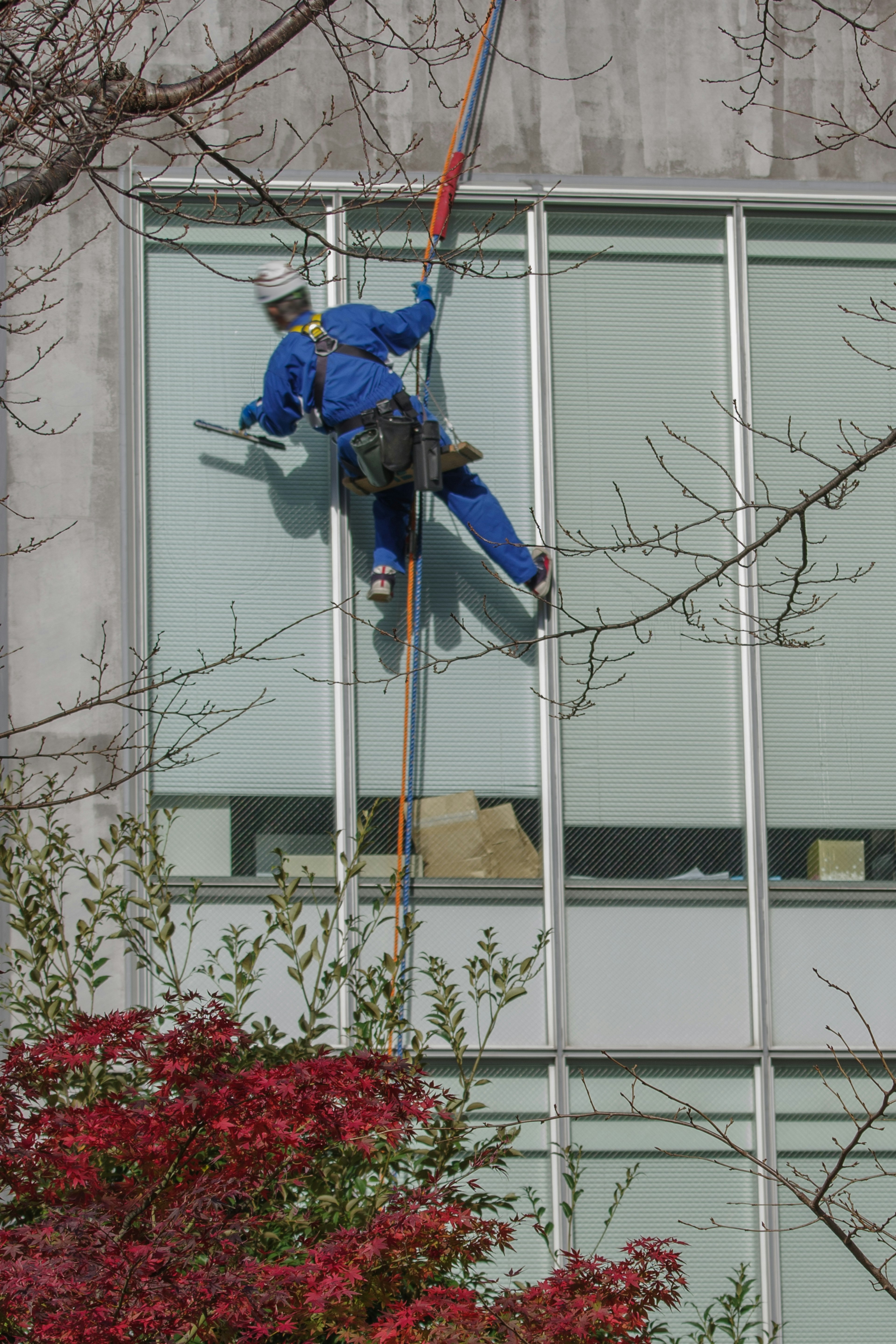 Trabajador con uniforme azul limpiando ventanas en un edificio alto