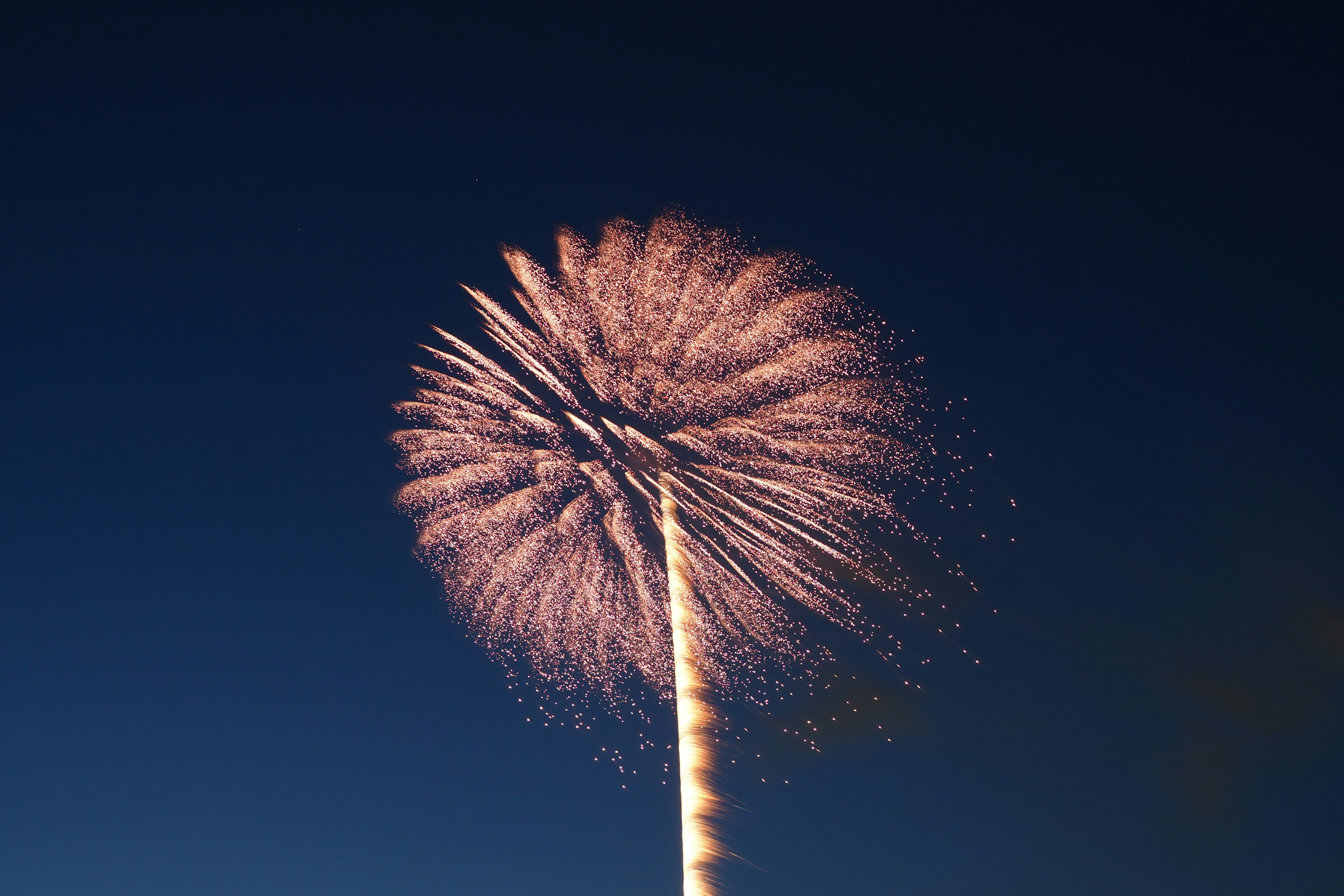 Feuerwerk, das einer blühenden Blume im Nachthimmel ähnelt