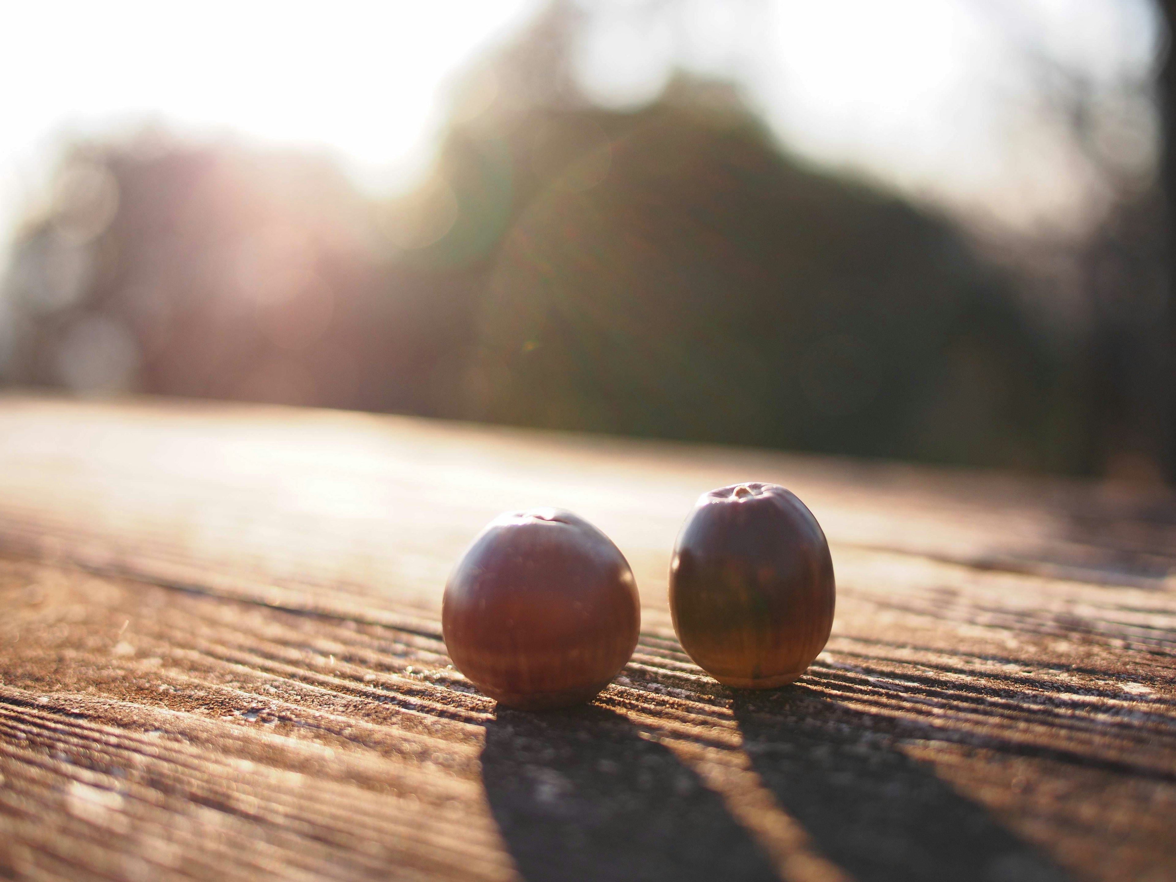 Two fruits resting on a wooden table in the evening light