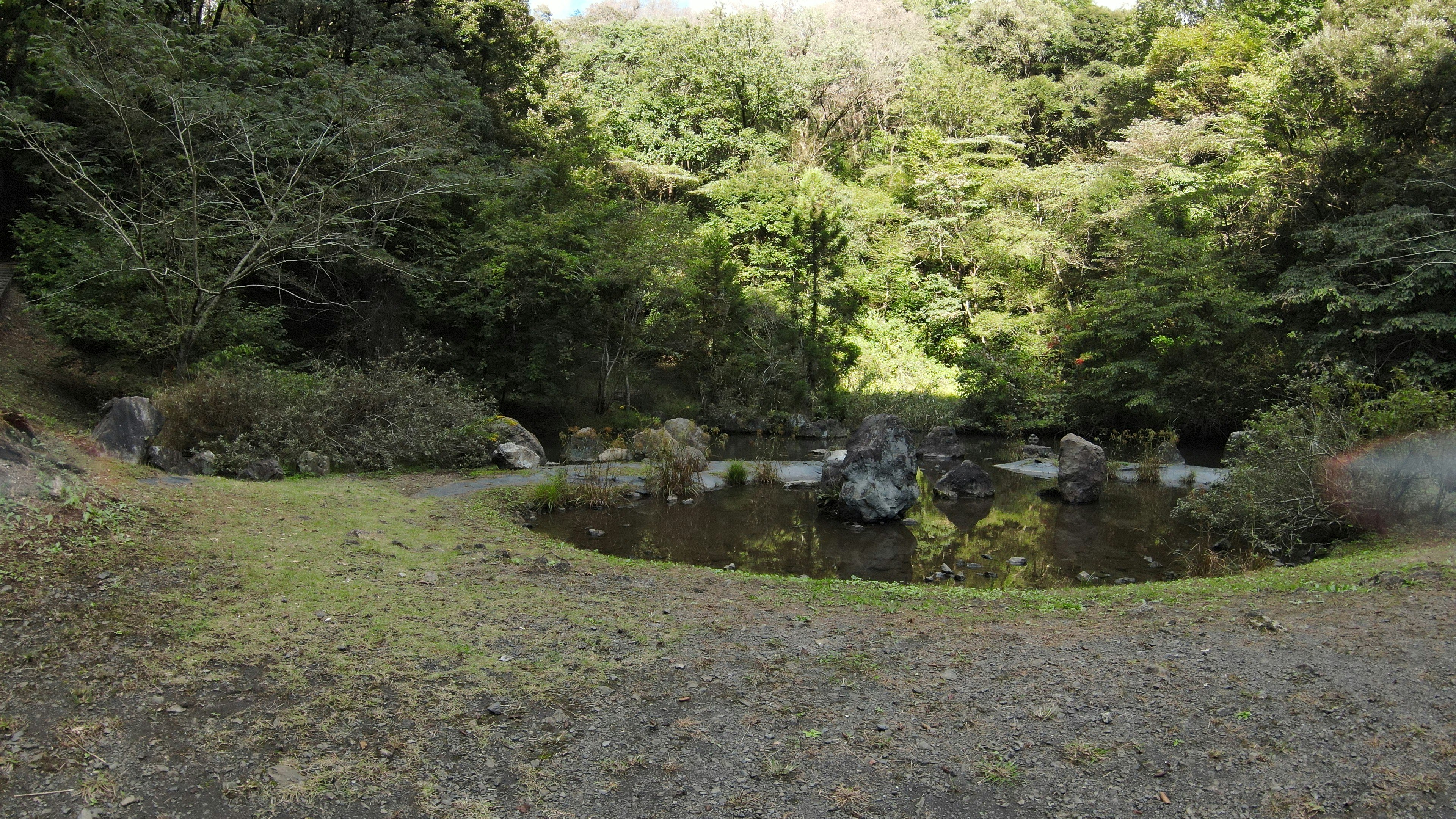 緑豊かな森林に囲まれた穏やかな池の景色