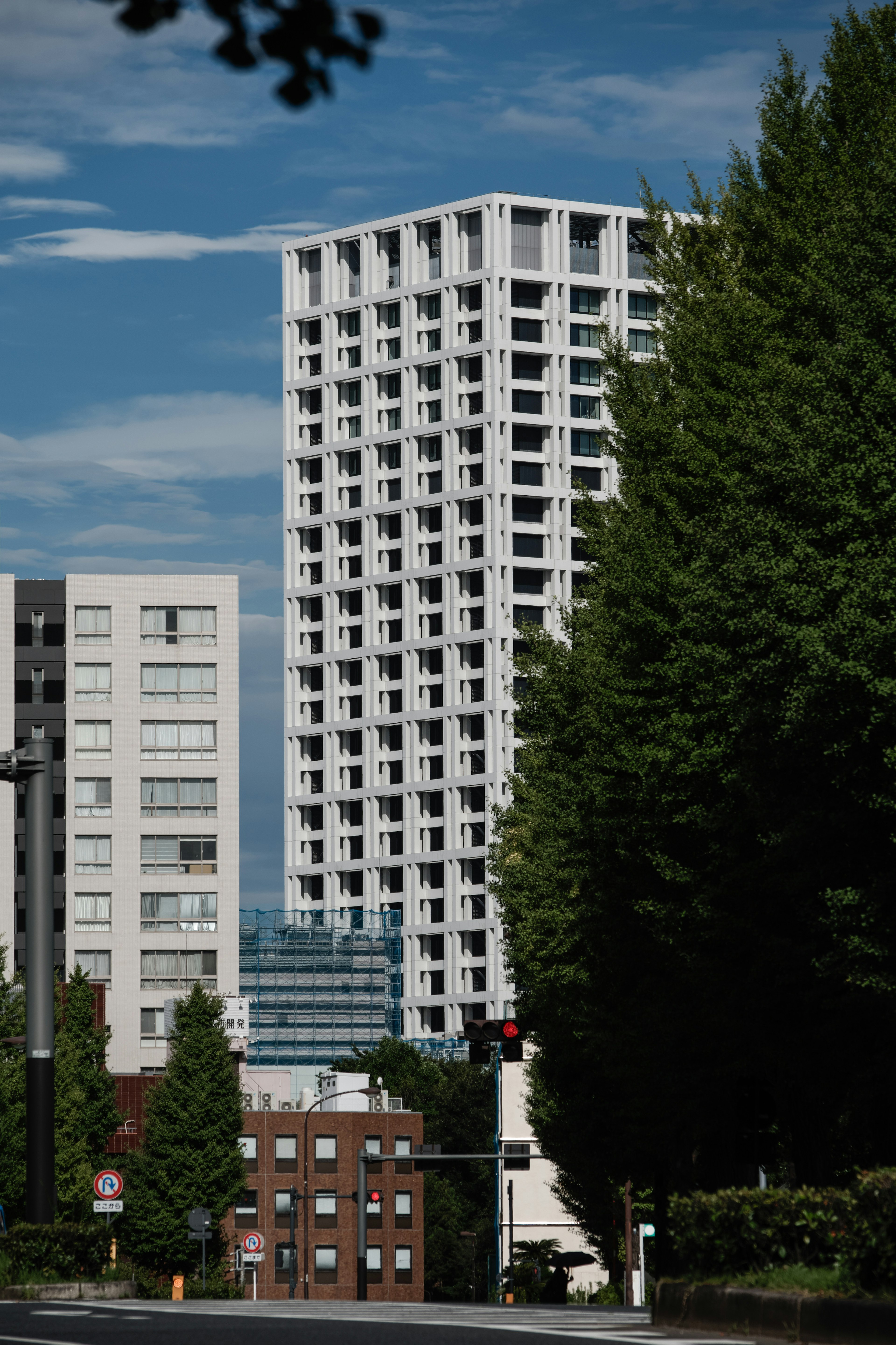 Paisaje urbano con edificios altos y árboles verdes