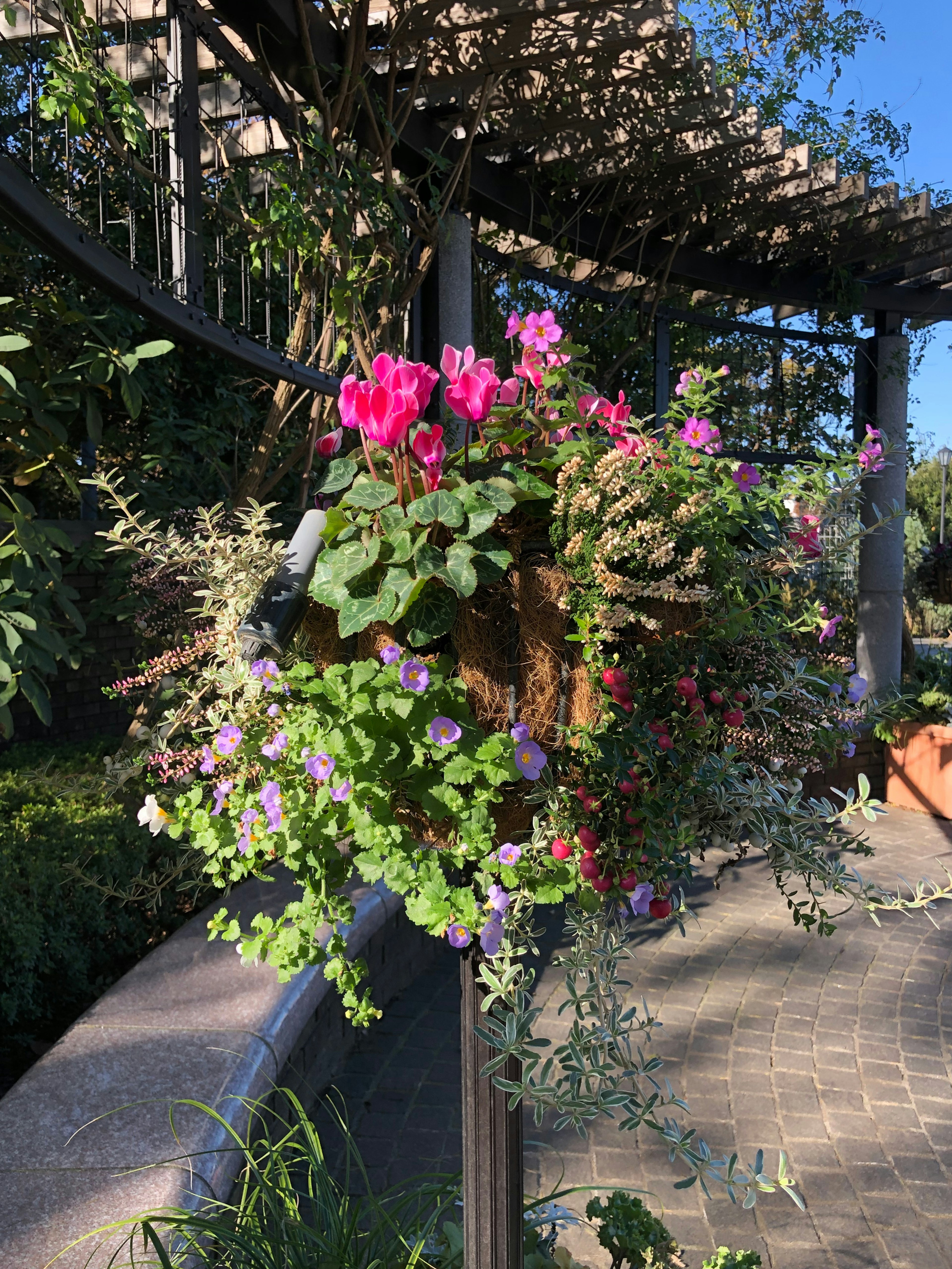 Vibrant hanging planter filled with colorful flowers in a garden setting