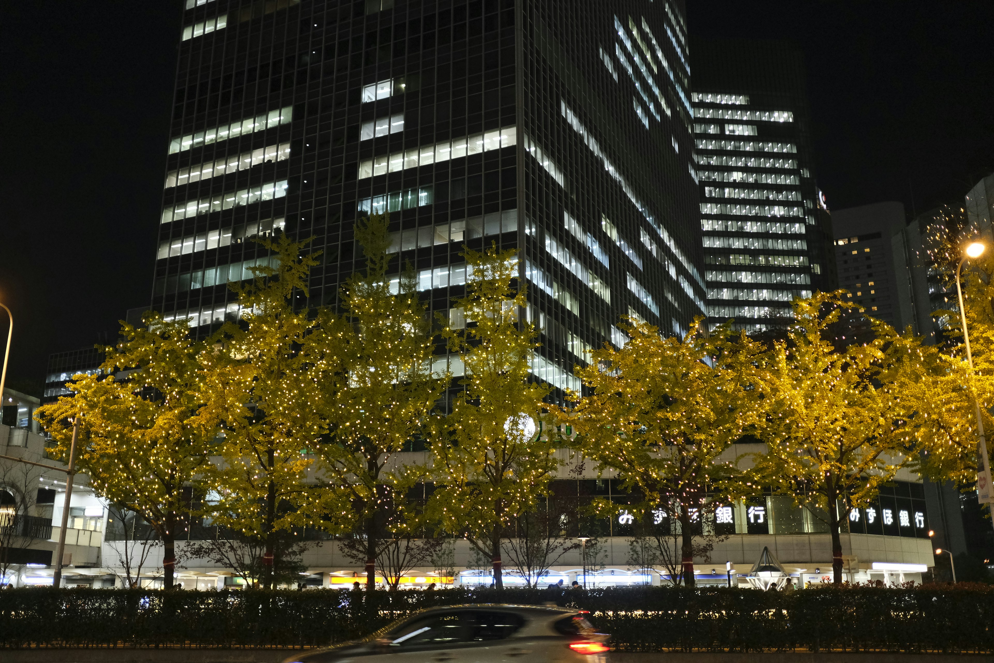 Night cityscape featuring tall buildings and illuminated street trees