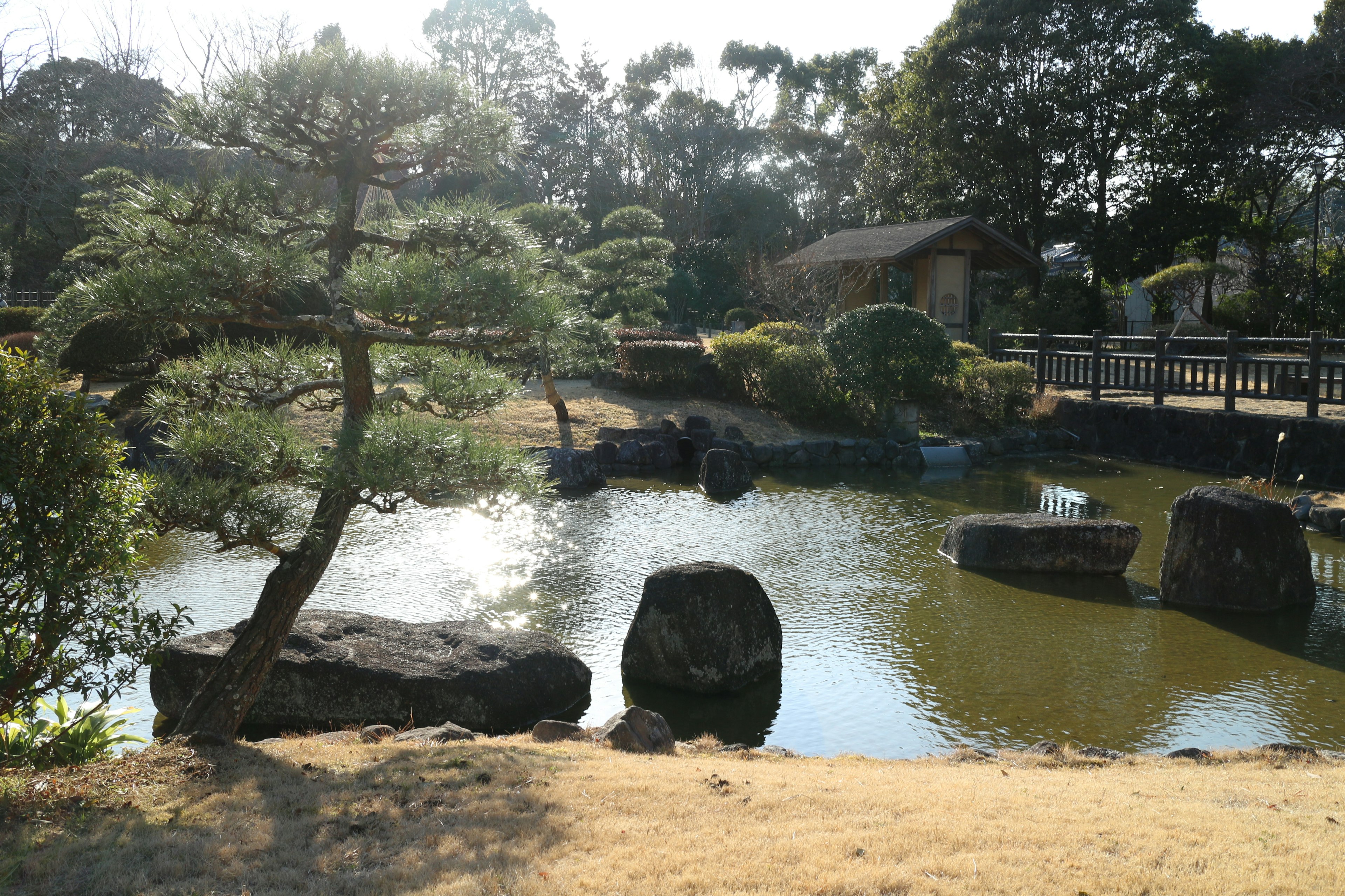 평화로운 일본 정원에 연못과 소나무가 있는 풍경