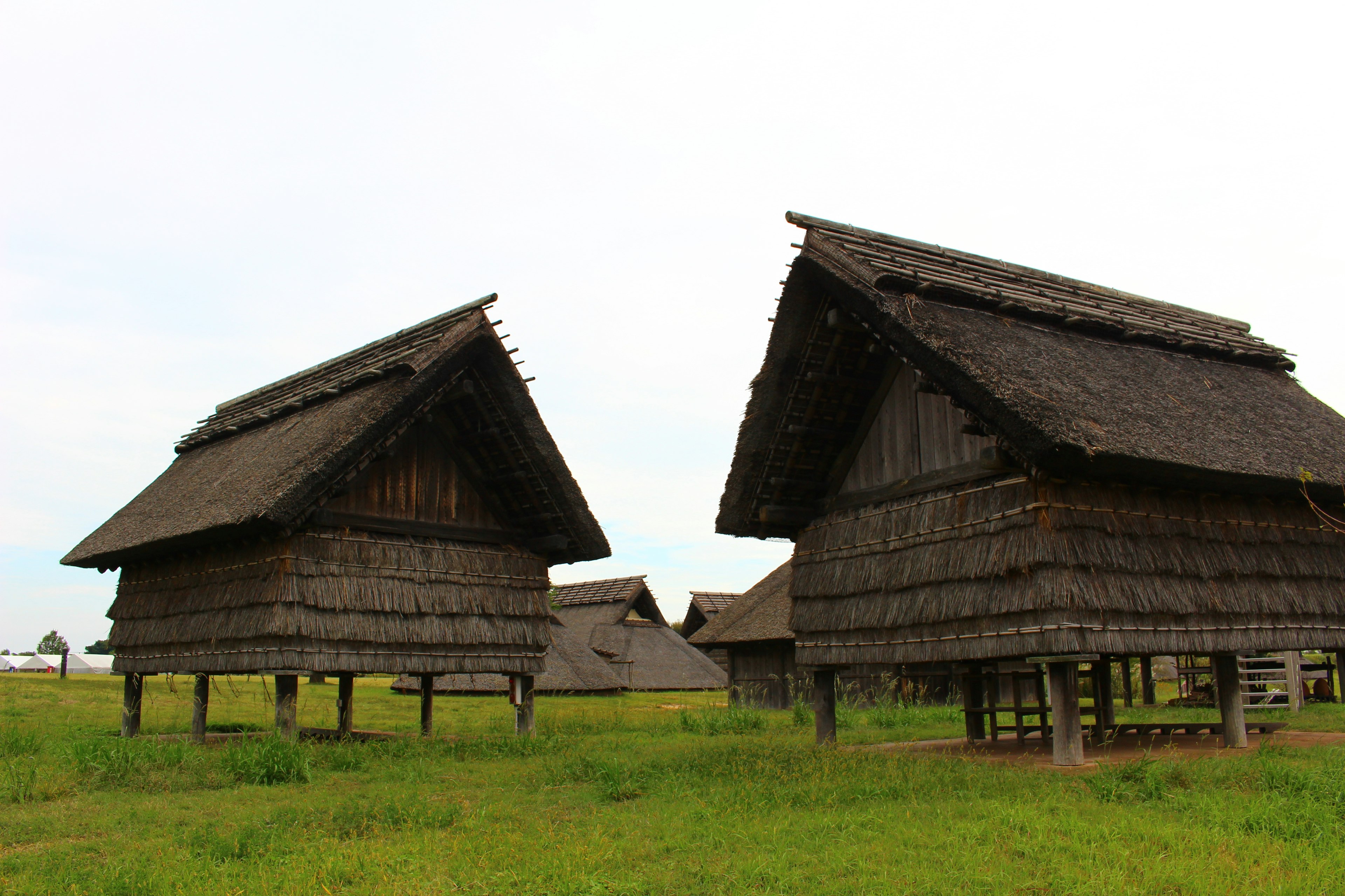 Two traditional thatched-roof houses stand in a green meadow