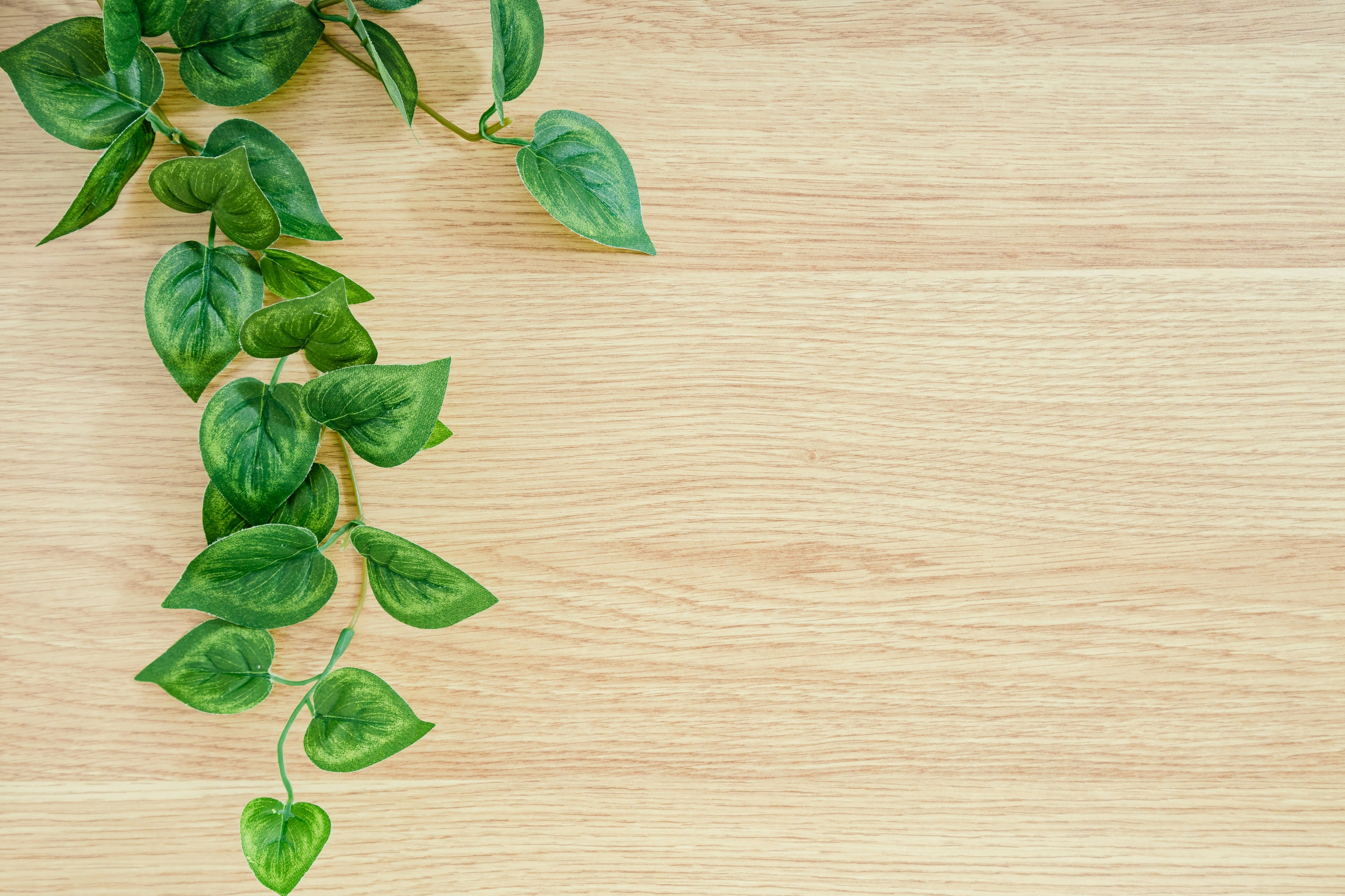 Green leaves cascading over a wooden surface