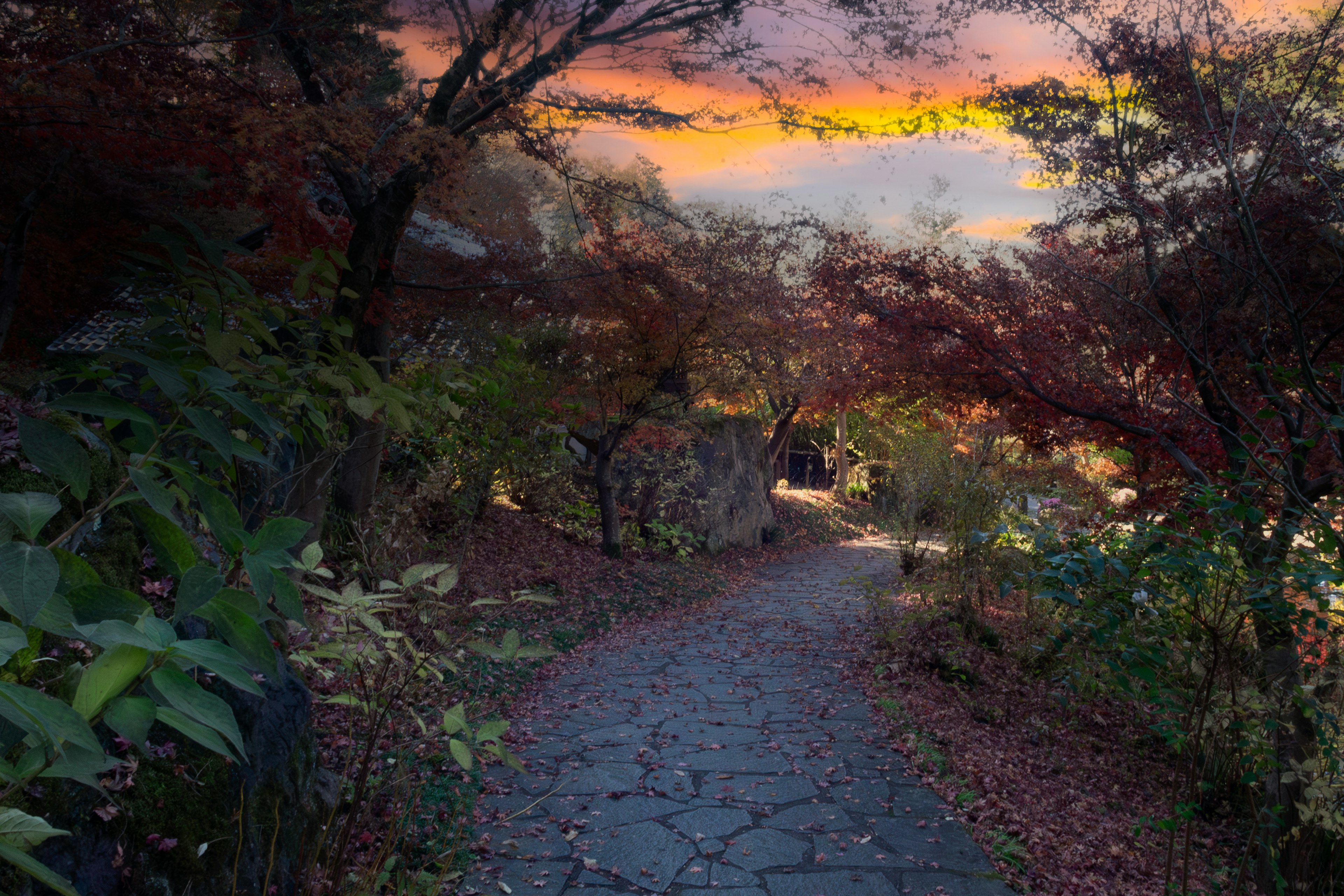 Pathway surrounded by colorful autumn leaves and sunset sky