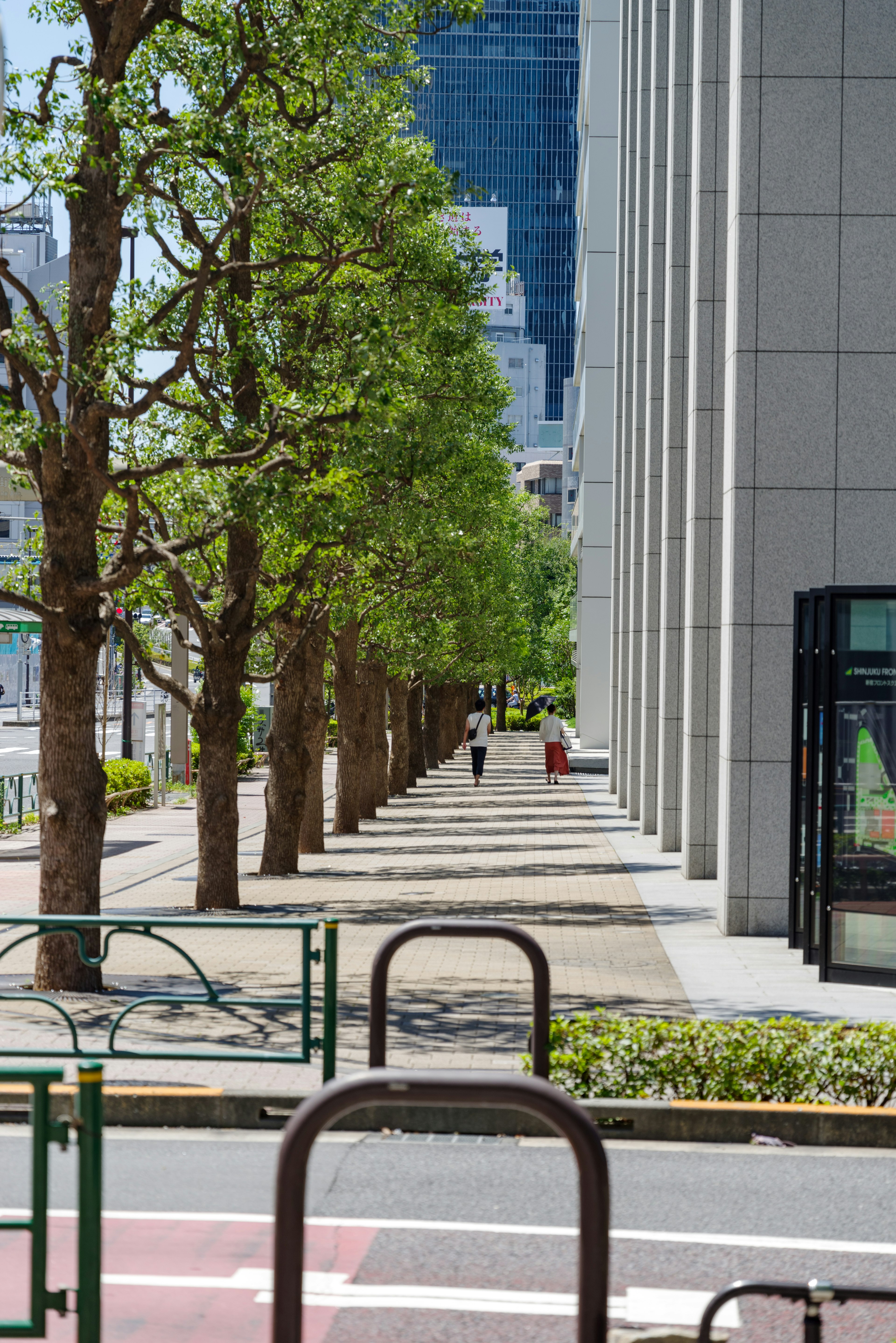 City street lined with green trees and modern buildings