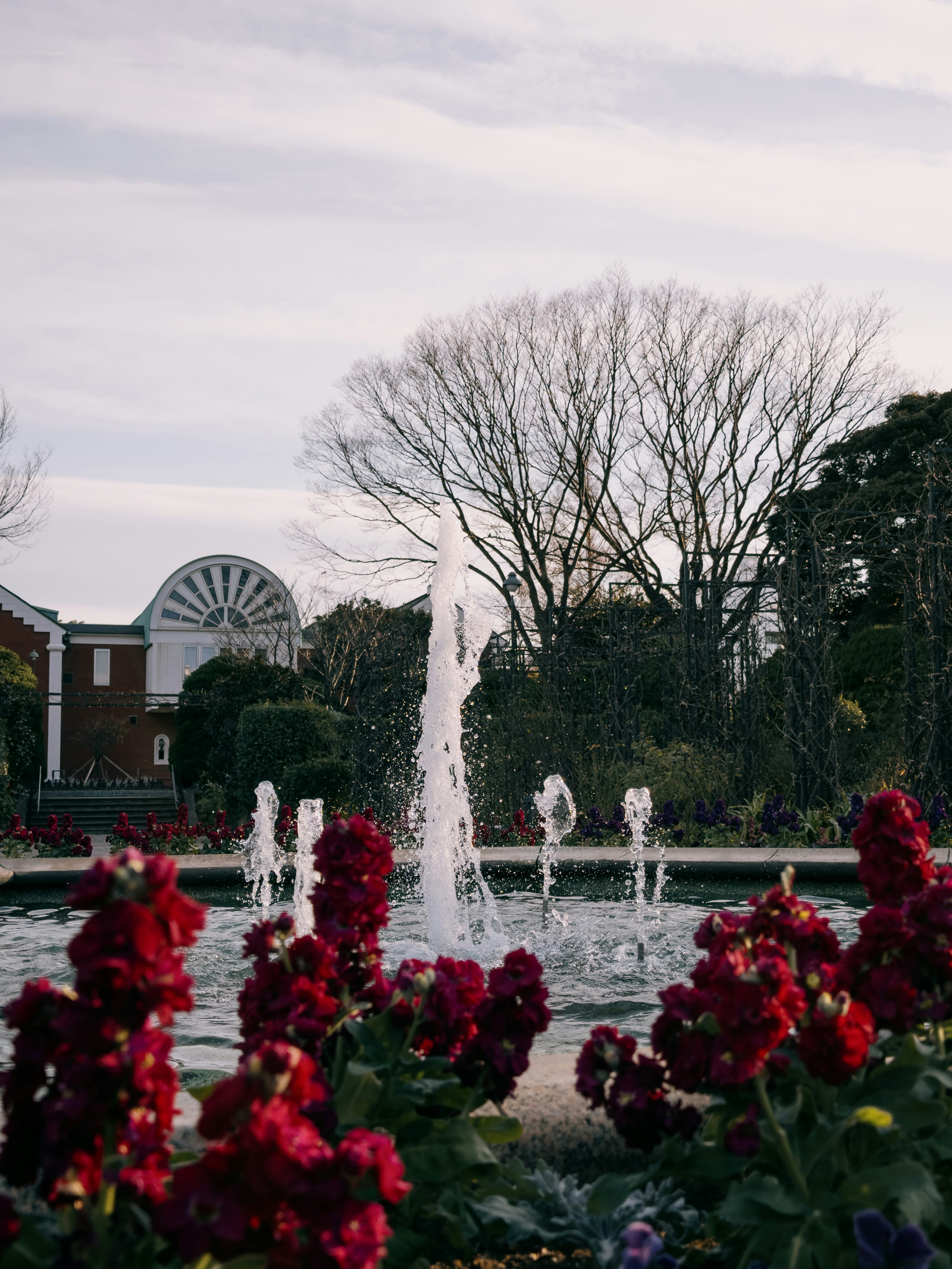 公園の噴水と赤い花の前景がある風景