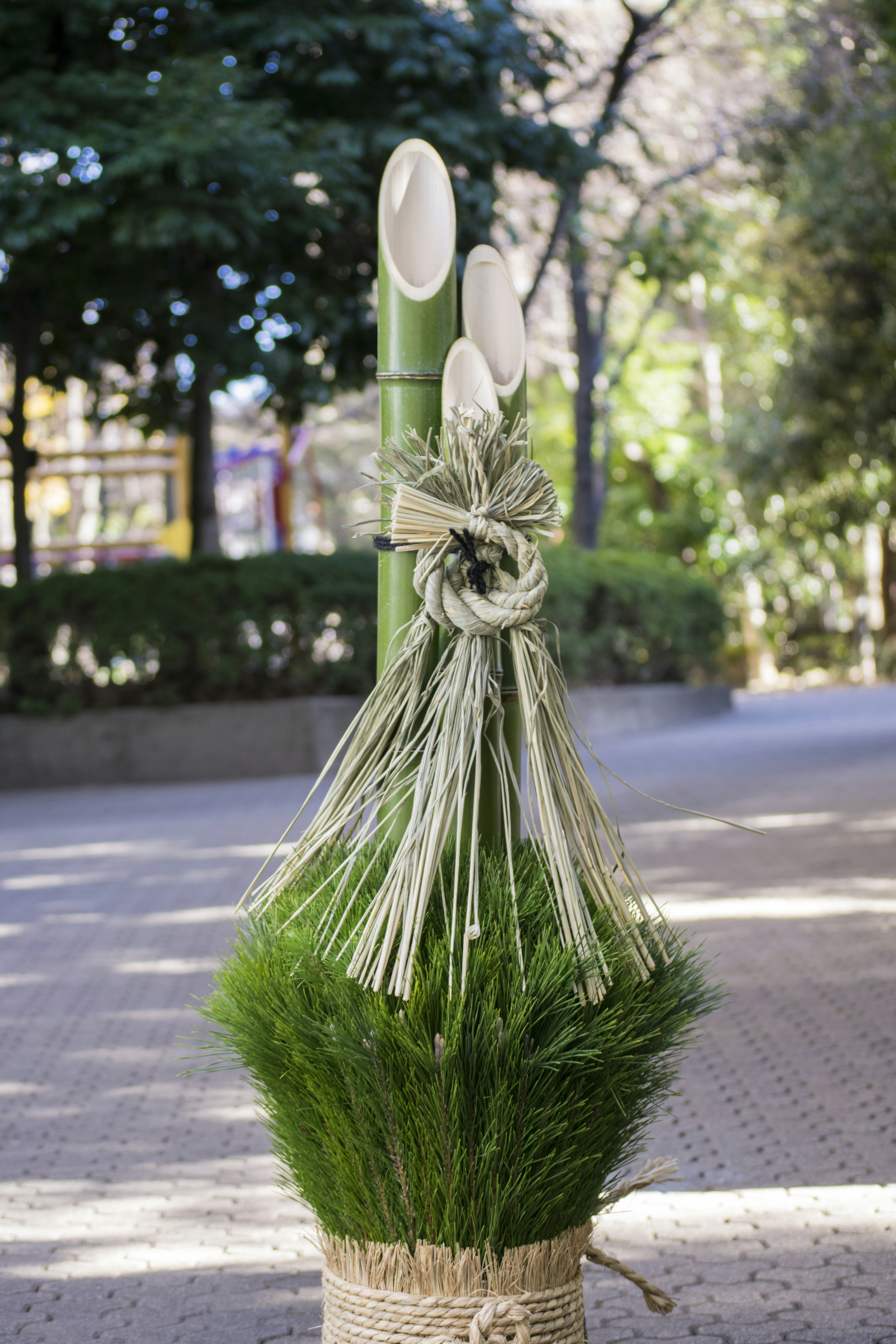 Décoration traditionnelle japonaise du Nouvel An avec de l'herbe verte et du bambou